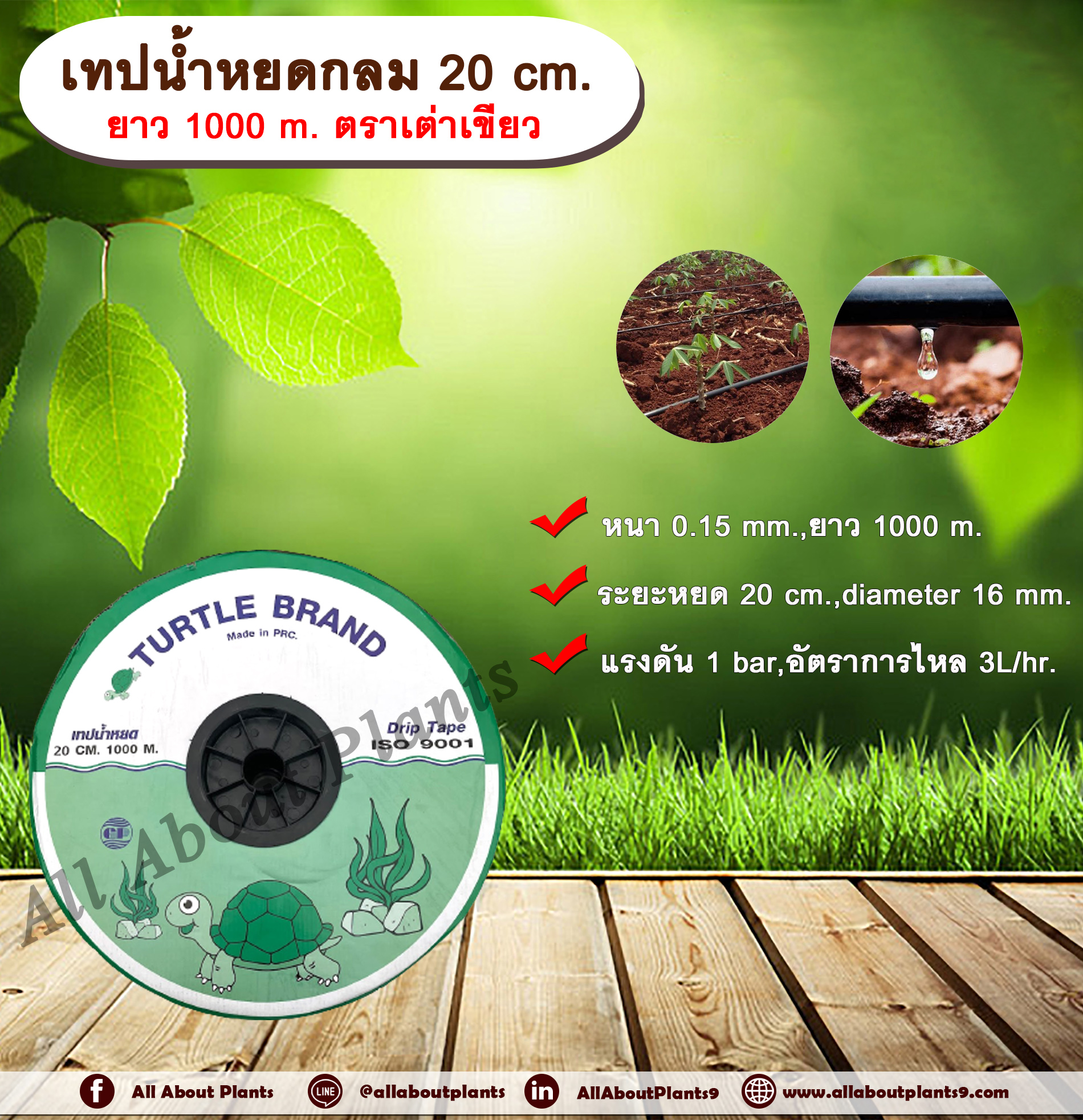เทปน้ำหยด 20 cm. ยาว 1000 m. ตราเต่าเขียว เทปน้ำหยด สายน้ำหยด แบบกลม แบบกิ๊ป ระยะห่างรู 20 cm. หนา 0.15 mm. ยาว 1000 m. Drip Tape ชิ้น