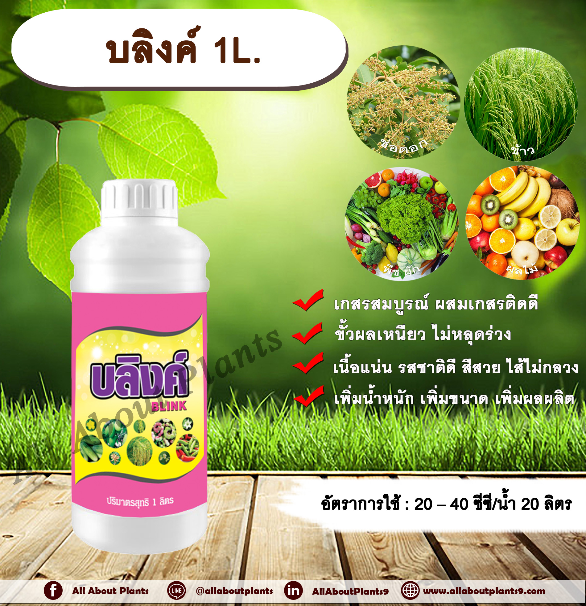 บลิงค์ 1L.ธาตุอาหารรอง ธาตุอาหารเสริม แคลเซียม โบรอน ดอกสมบูรณ์ เกสรติดดี ขั้วเหนียว ป้องกันผลแตก ไม่หลุดร่วง ไส้ไม่กลวง เพิ่มน้ำหนัก เพิ่มขนาด เพิ่มผลผลิต allaboutplants ชิ้น