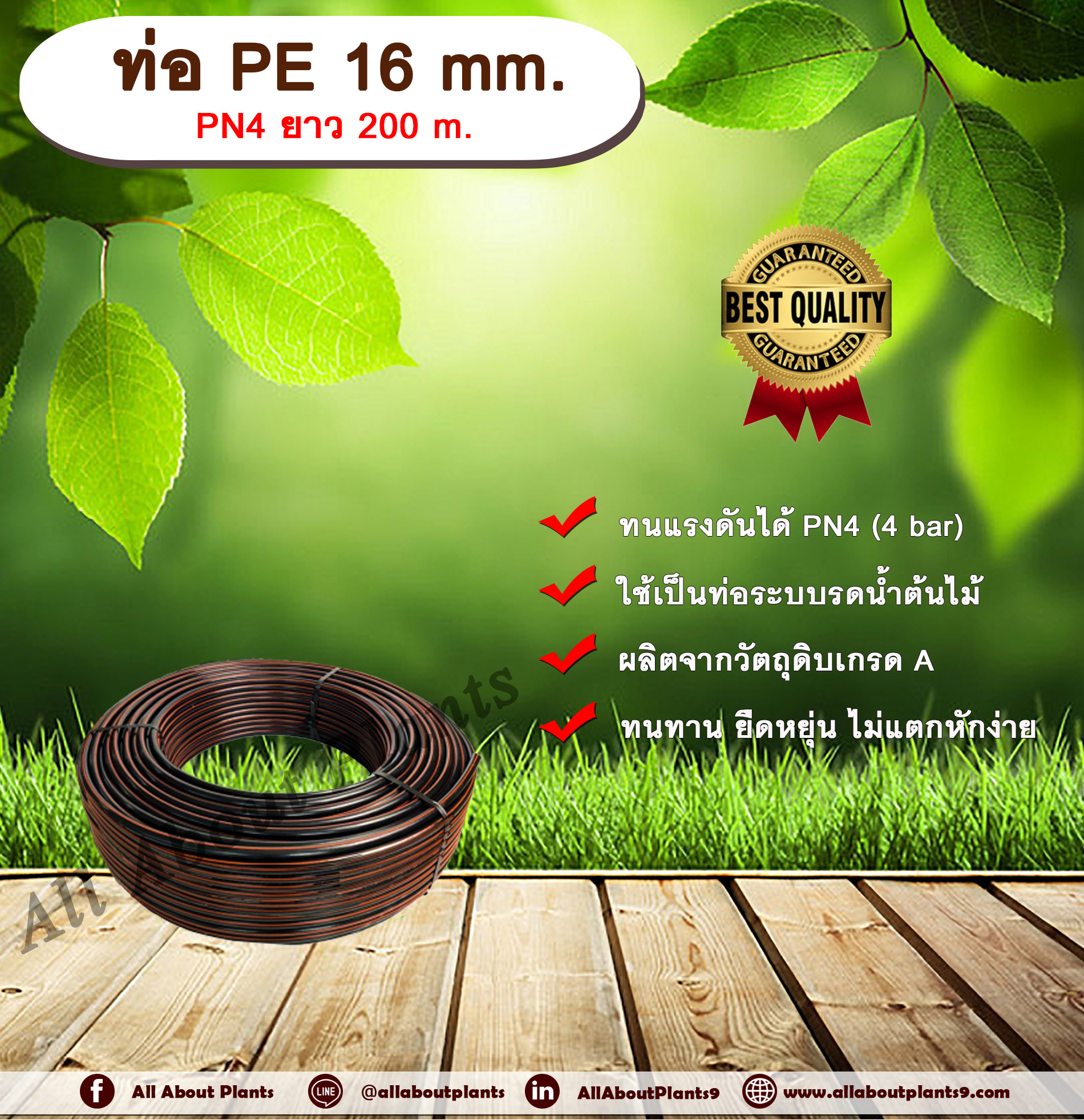 ท่อ PE 16mm. ยาว 200m. ท่อพีอี ท่อเกษตร ขนาด 16 มิล allaboutplants ชิ้น