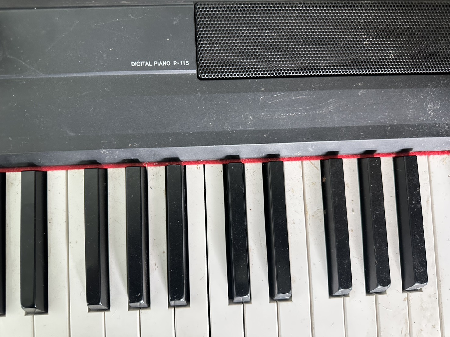 Piano เปียโนไฟฟ้า เปียโนดิจิตอล 88 คีย์ Yamaha Digital Piano P-115