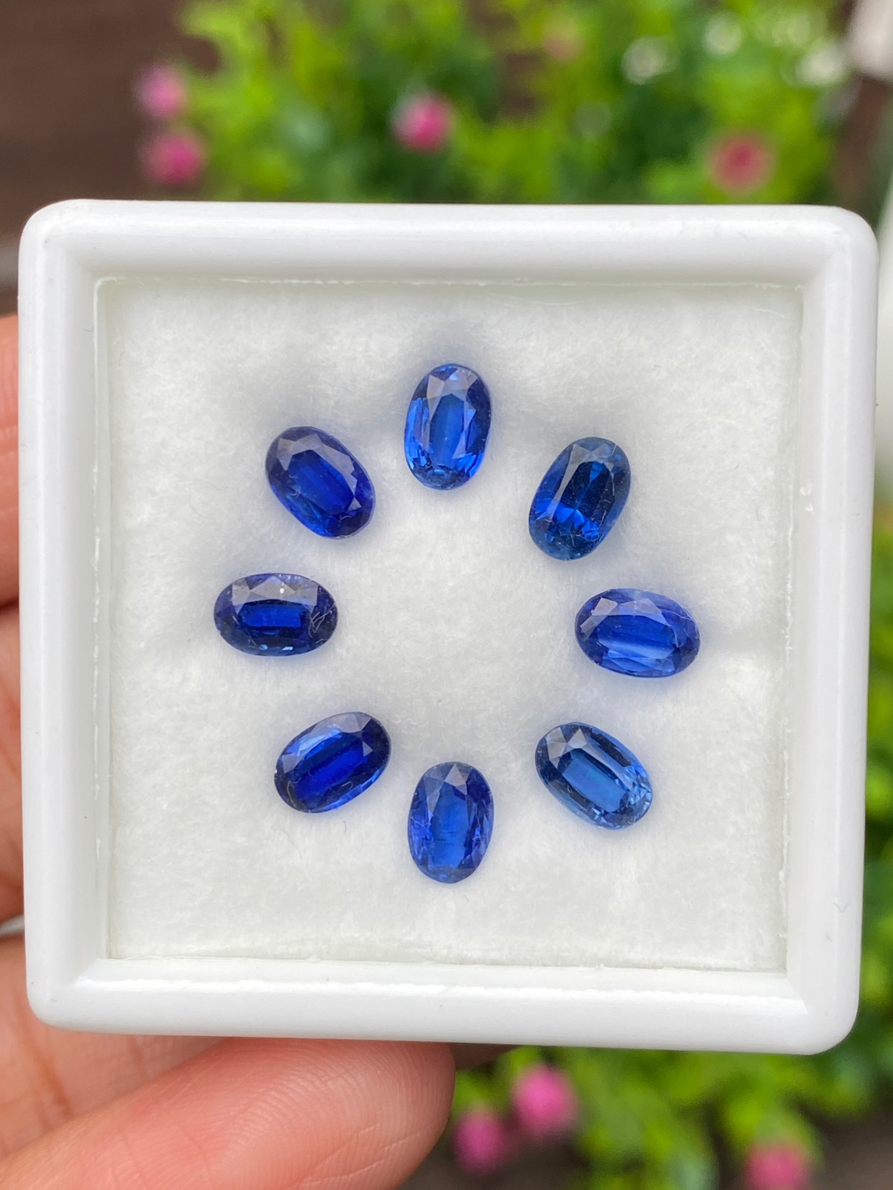 พลอย ไคยาไนต์ Kyanite 5.30 กะรัต (Cts.) 8 เม็ด พลอยแท้ อัญมณีมงคลประจําวันเกิด เครื่องประดับพลอย