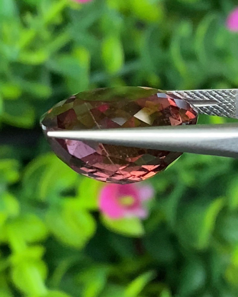 พลอย ทัวร์มาลีน Tourmaline 15.49 กะรัต (Cts.) พร้อมใบเซอร์ พลอยแท้ อัญมณีมงคลประจําวันเกิด เครื่องประดับพลอย