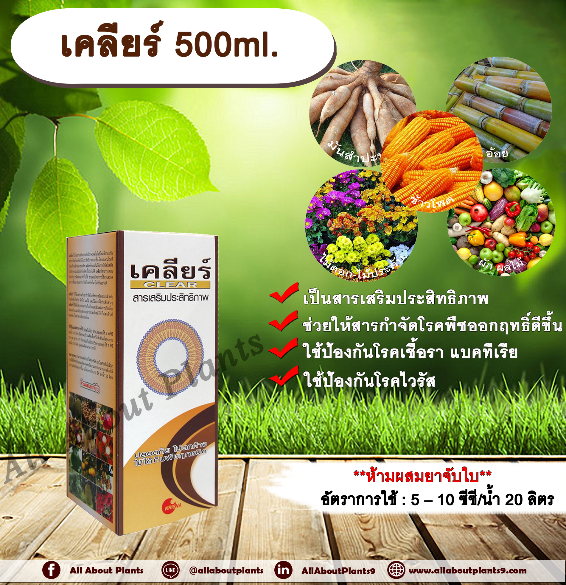 เคลียร์ 500ml. สารเสริมประสิทธิภาพ ช่วยให้สารกำจัดโรคพืชมีประสิทธิภาพมากขึ้น ป้องกันเชื้อรา แบคทีเรีย ไวรัส ขัดผิวผลผลิต allaboutplants ชิ้น