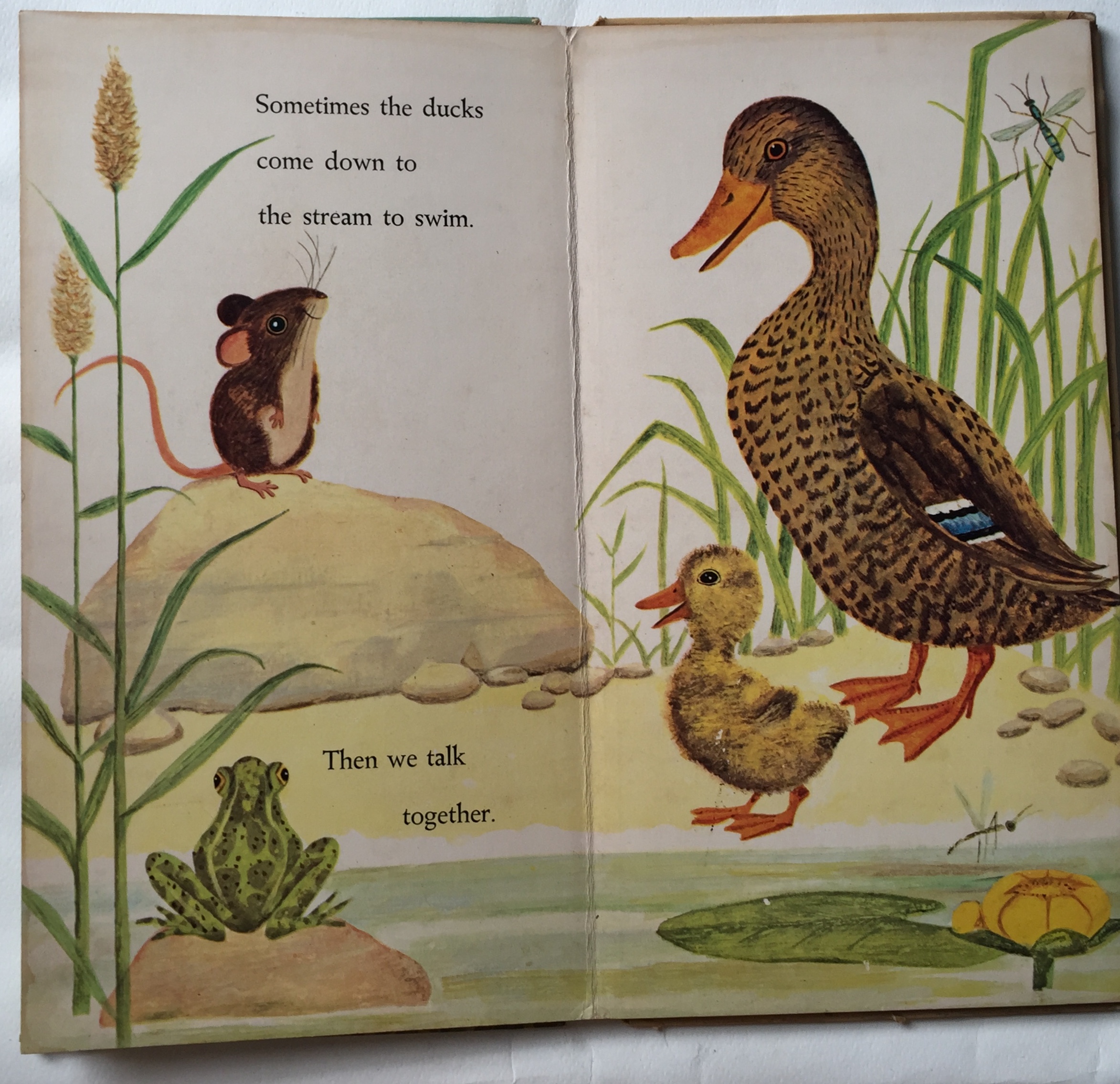 หนังสือนิทานเก่าภาพสวยปกแข็ง ปี 1964 ฉบับภาษาอังกฤษ "I am a Mouse", a golden sturdy happy book **มีตำหนิตามภาพ