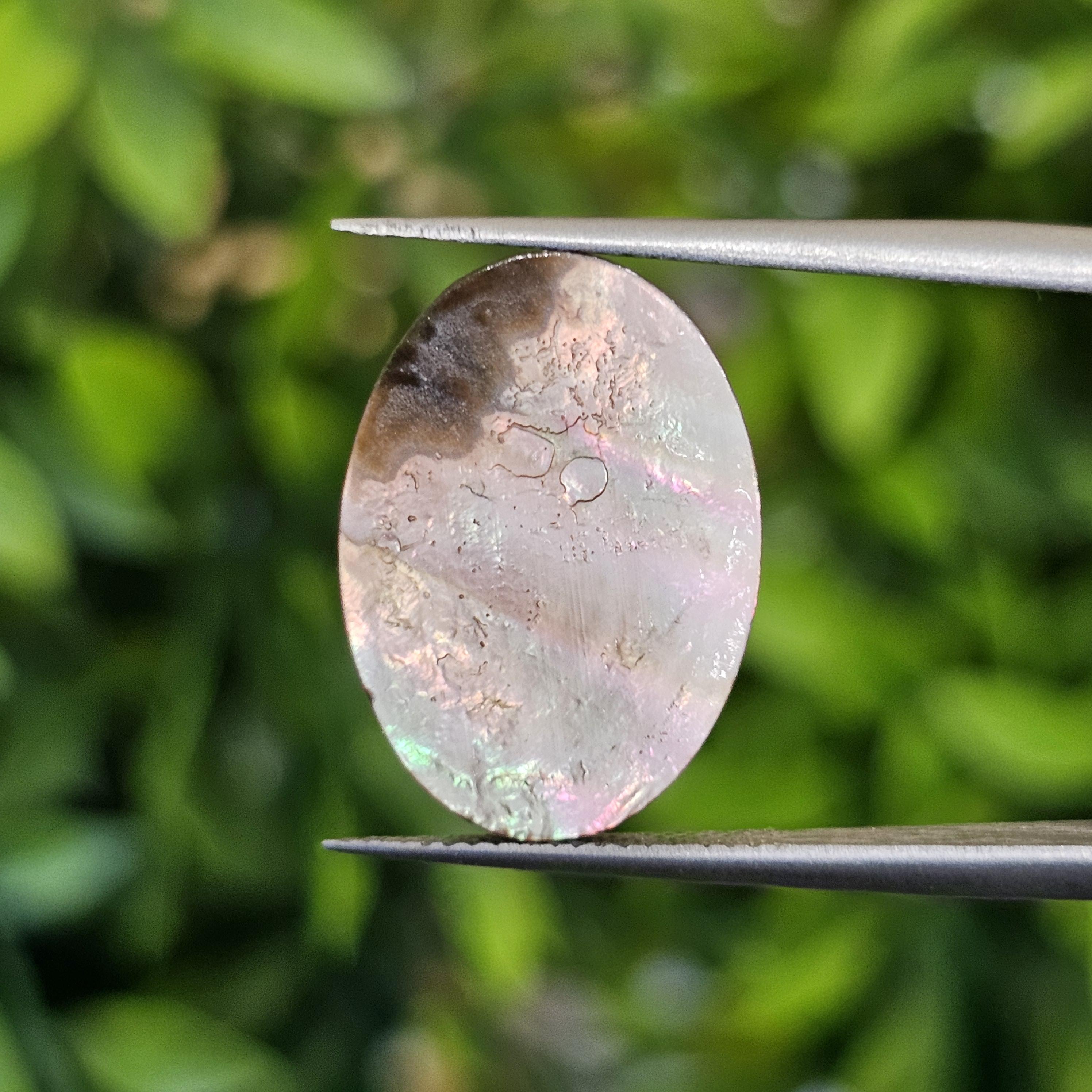 เปลือกหอยมุก แกะสลัก Pearl Shell Carved 2.70 กะรัต (Cts.)