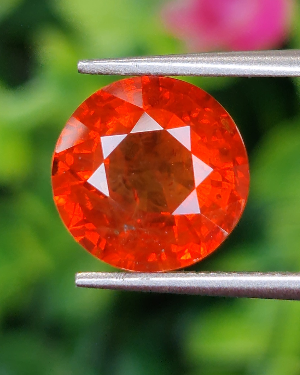 พลอย ออเรนจ์ แซฟไฟร์ สีส้ม Orange Sapphire 5.51 กะรัต (Cts.) พลอยแท้ อัญมณีมงคลประจําวันเกิด เครื่องประดับพลอย