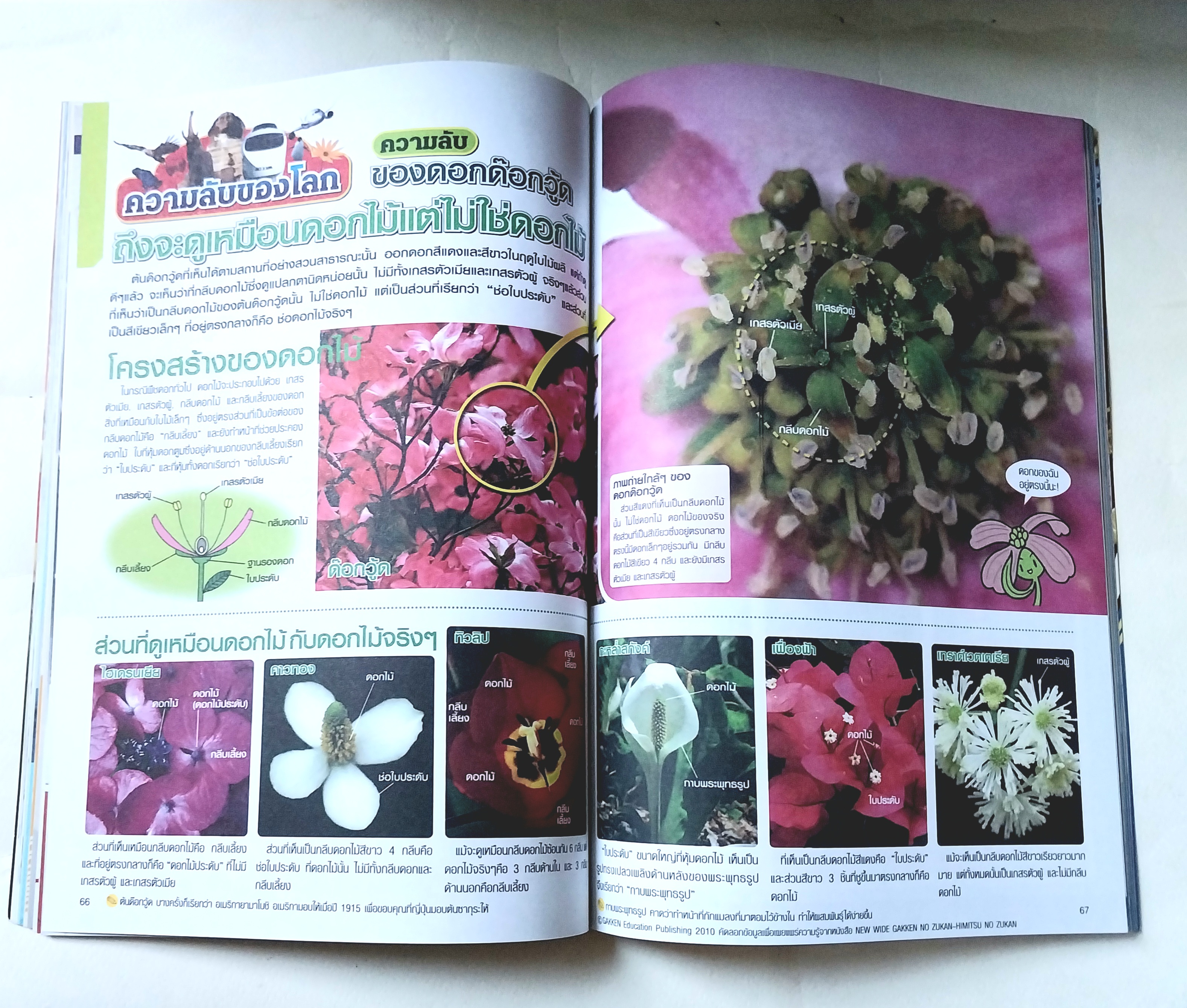 มีหลายภาพ, หนังสือทีวีแมกกาซีน ฉบับที่ 297 ปีที่ 27 /01 2017 ฉบับอุลตร้าแมนออร์บ มาสไรเดอร์เอ๊กเซด Ex-Aid, Devil Man