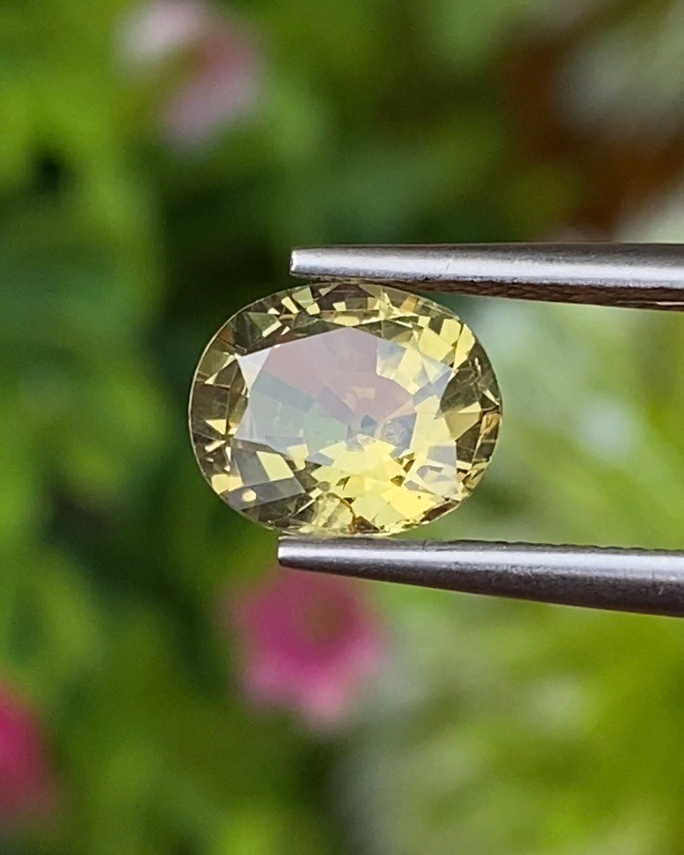 พลอย คริโซเบริล (Chrysoberyl) 1.68 กะรัต (Cts.) พลอยแท้ อัญมณีมงคลประจําวันเกิด เครื่องประดับพลอย