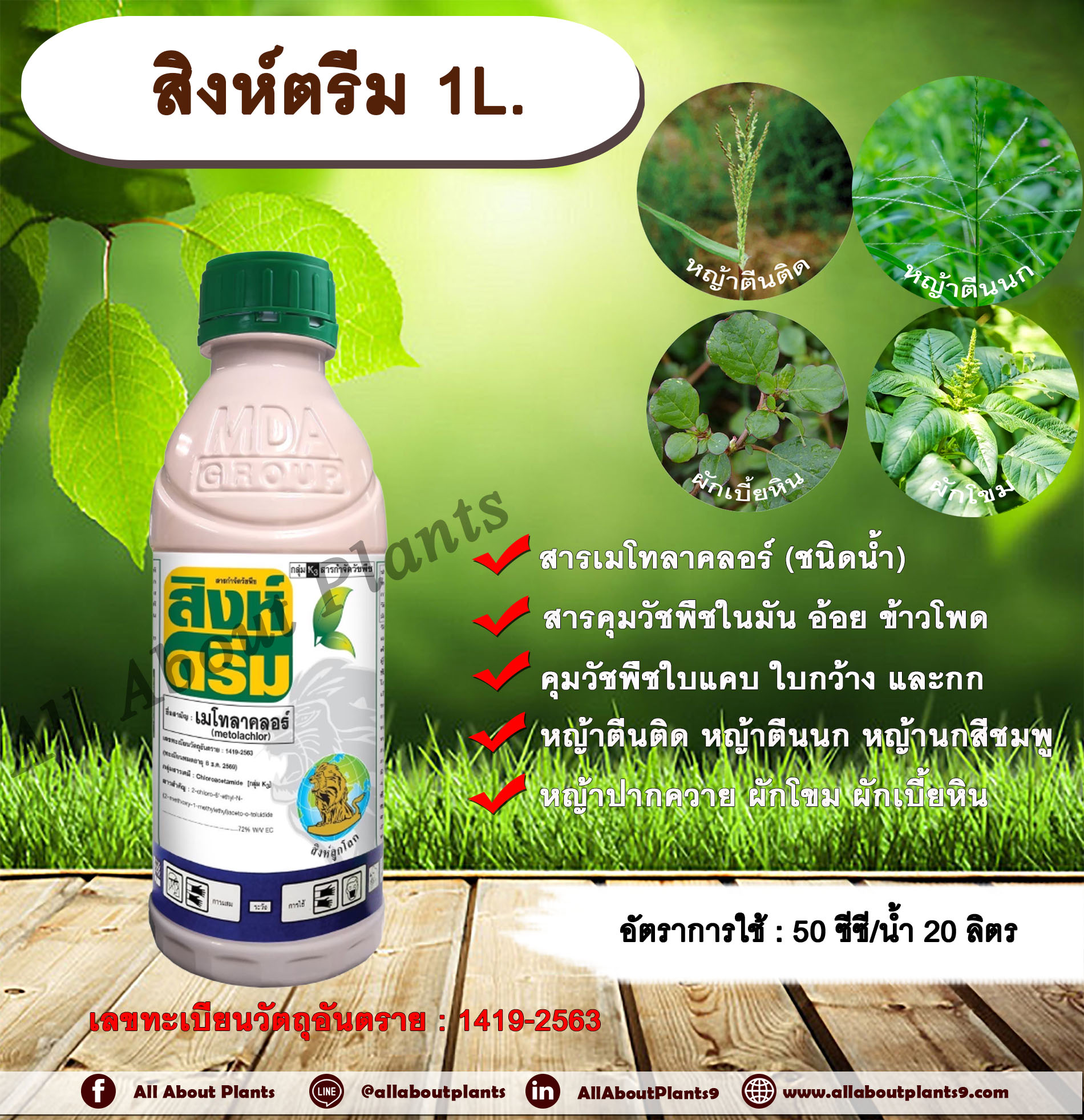 สิงห์ตรีม 1L. เมโทลาคลอร์ คุมวัชพืชในมัน อ้อย ข้าวโพด คุมวัชพืชใบแคบ ใบกว้าง และกก หญ้าตีนติด หญ้าตีนนก หญ้านกสีชมพู หญ้าปากควาย ผักโขม ผักเบี้ยหิน ขวด