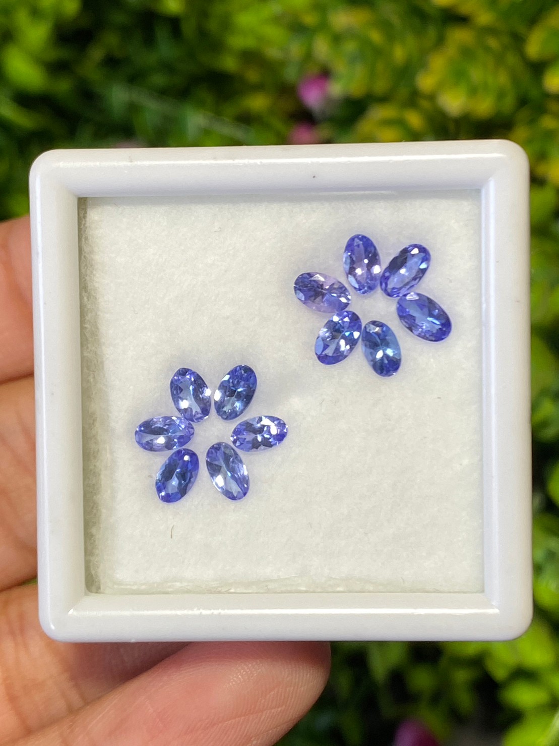 พลอย แทนซาไนท์ Tanzanite 2.78 กะรัต (Cts.) 12 เม็ด พลอยแท้ อัญมณีมงคลประจําวันเกิด เครื่องประดับพลอย