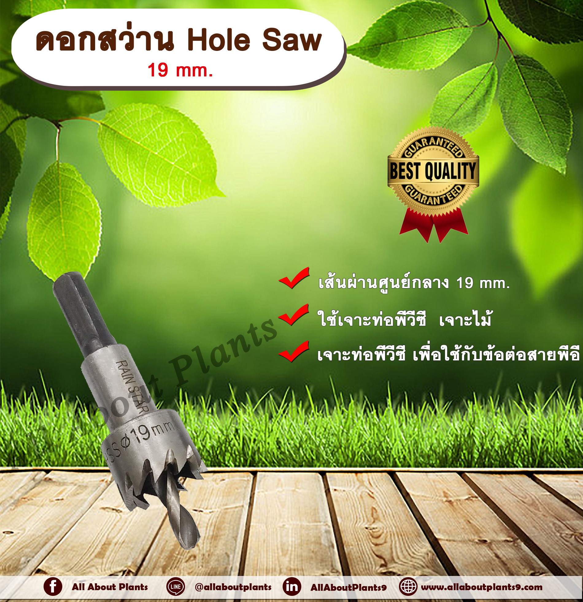 ดอกสว่าน Hole Saw 19 mm. ดอกสว่าน ขนาด 19 มม. เจาะท่อพีวีซี เจาะไม้ ดอกสว่านโฮลซอ ไฮสปีด allaboutplants ชิ้น