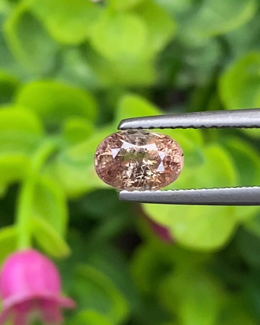 พลอย คัลเลอร์เชนจ์ แซฟไฟร์ Color Change Sapphire 1.19 กะรัต (Cts.) ดิบ พร้อมใบเซอร์ พลอยแท้ อัญมณีมงคลประจําวันเกิด เครื่องประดับพลอย