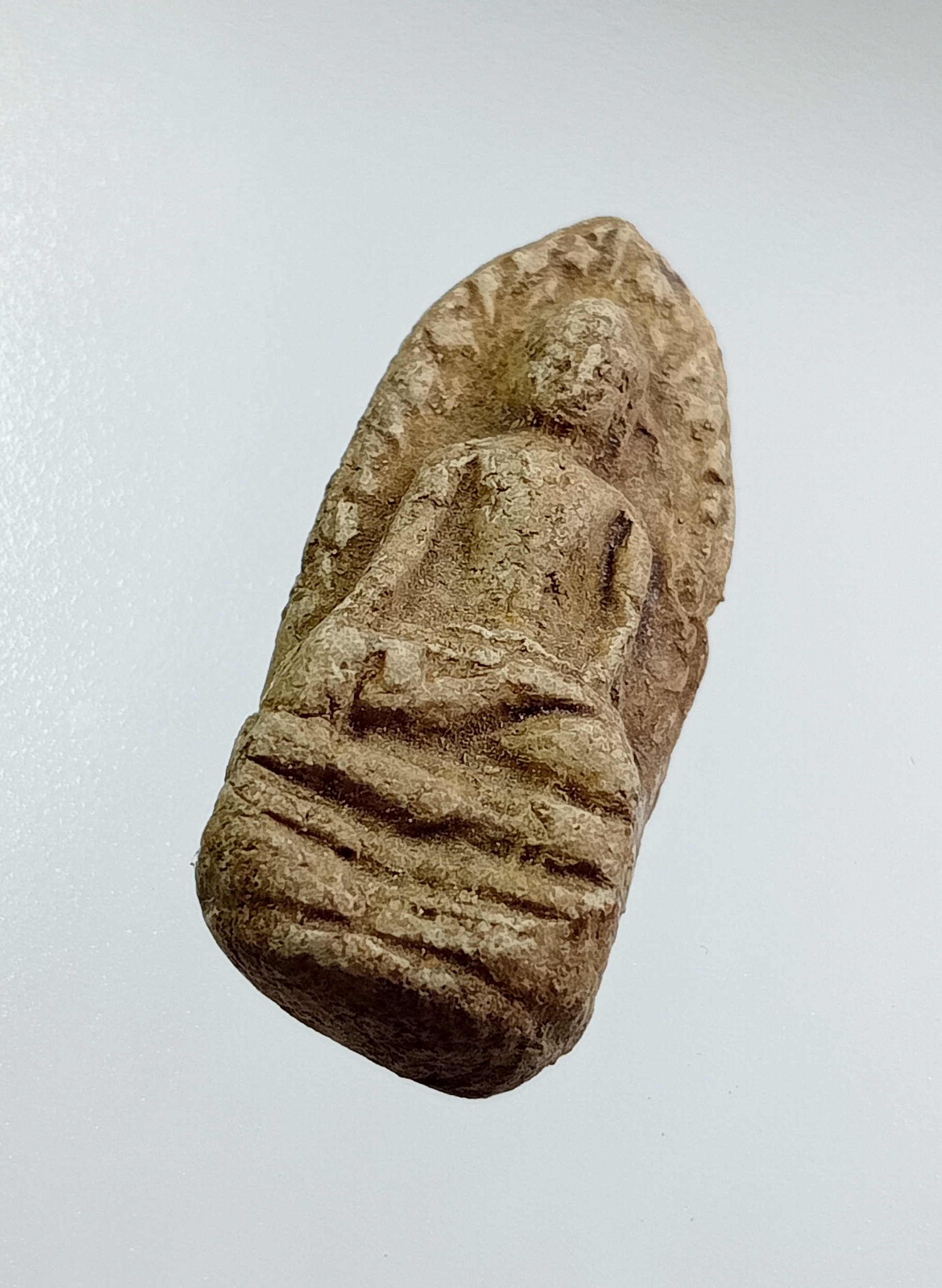 ผ3552 พระรอด วัดมหาวันวนาราม จ.ลำพูน