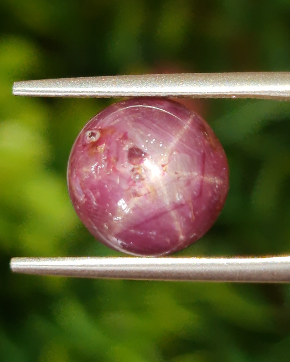 พลอย ทับทิม สตาร์ แซฟไฟร์ Ruby Star Sapphire 6.84 กะรัต (Cts.) พลอยแท้ อัญมณีมงคลประจําวันเกิด เครื่องประดับพลอย