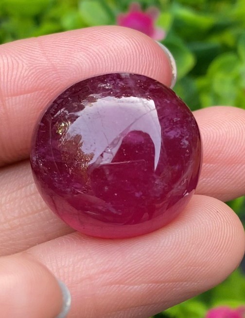 พลอย ทับทิม (Ruby Sapphire) 55.68 กะรัต (Cts.) พลอยแท้ อัญมณีมงคลประจําวันเกิด เครื่องประดับพลอย