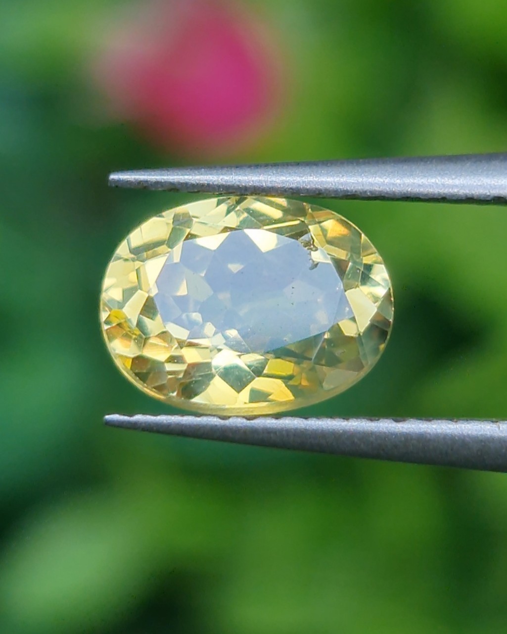 พลอย คริโซเบริล (Chrysoberyl) 1.23 กะรัต (Cts.) พลอยแท้ อัญมณีมงคลประจําวันเกิด เครื่องประดับพลอย