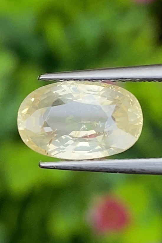 พลอย บุษราคัม yellow sapphire 2.89 กะรัต (Cts.) ดิบ Unheated มีใบเซอร์ พลอยแท้ อัญมณีมงคลประจําวันเกิด เครื่องประดับพลอย