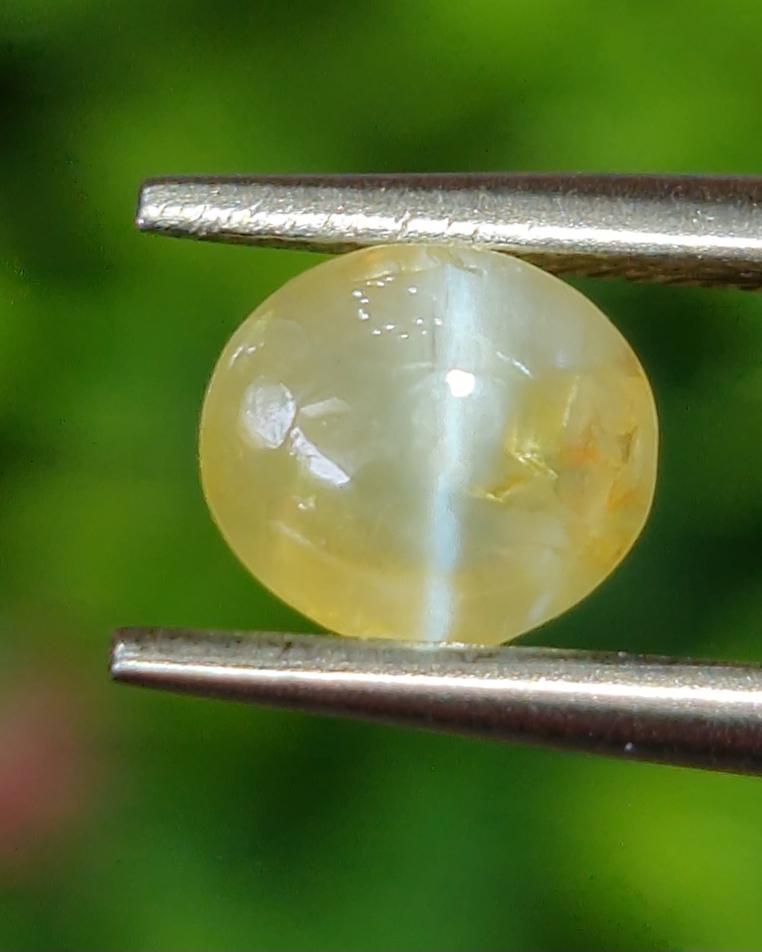 พลอย ตาแมว คริโซเบริล Cat eye Chrysoberyl 1.30 กะรัต (Cts.) พลอยแท้ อัญมณีมงคลประจําวันเกิด เครื่องประดับพลอย