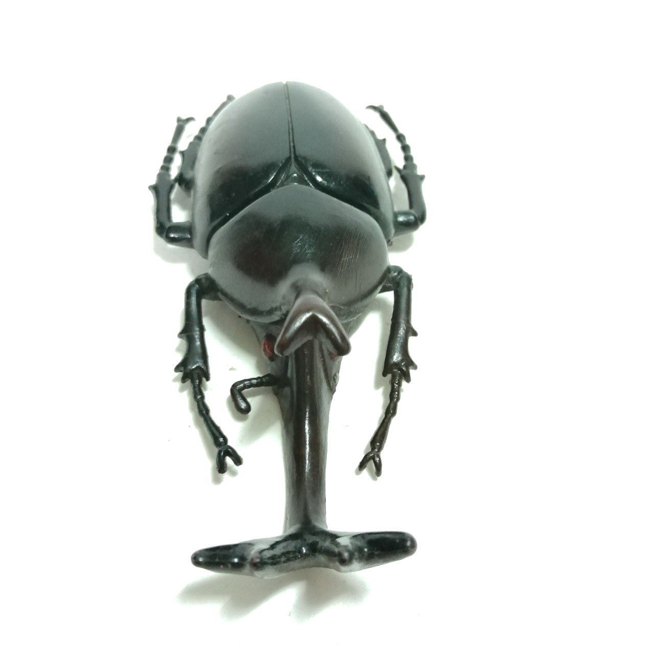 ชุดแมลงยางตัน ด้วงเขากวาง เขาเดียว ขนาดตามรูป สภาพดี