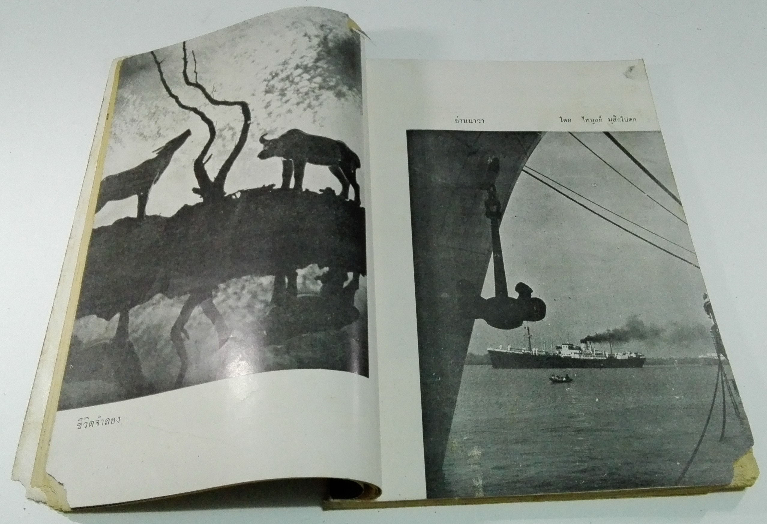 นิตยสารเก่า "ชาวกรุง เดือน กุมภาพันธ์ ปี 2502" **นิตยสารเก่ามีตำหนิ โปรดตรวจสอบทุกภาพ เรื่องเก่าเล่าอดีตที่น่าสนใจ นักเขียนรุ่นเก่าผู้ทรงคุณวุฒิ ภาพถ่ายเก่าพร้อมเรื่องราวบนกระดาษมัน และกระดาษปรู๊ฟเก่า และที่น่าสะสมสำหรับผู้รักลายเส้นการ์ตูนจากฝี