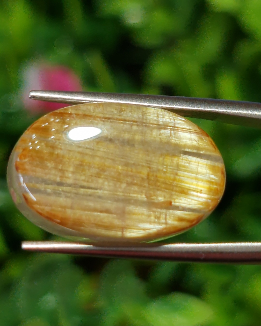 ตาแมว ไหมทอง ควอตซ์ Cat eye Golden Rutilated Quartz 17.0 กะรัต Cts.พลอยแท้ อัญมณีมงคลประจําวันเกิด เครื่องประดับพลอย