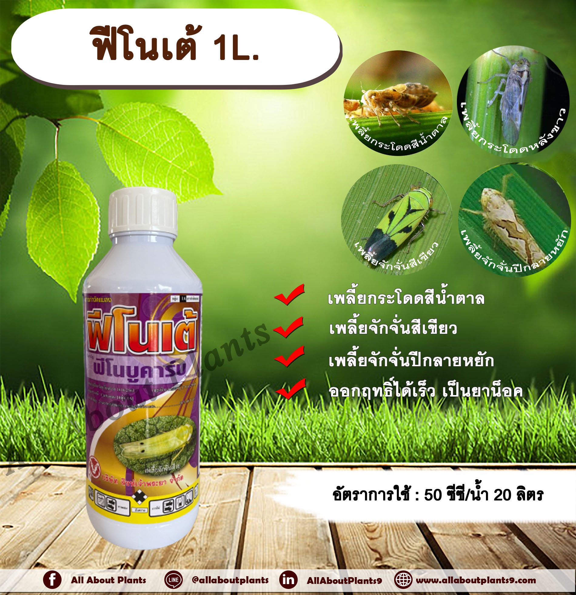 ฟีโนเต้ 1L. ฟีโนบูคาร์บ เพลี้ยกระโดดสีน้ำตาล เพลี้ยกระโดดหลังขาว เพลี้ยจักจั่นสีเขียว เพลี้ยจักจั่นปีกลายหยัก สารจัดแมลง สารกำจัดเพลี้ย ออกฤทธิ์เร็ว แบบน็อค สิงห์เจ้าพระยา ชิ้น