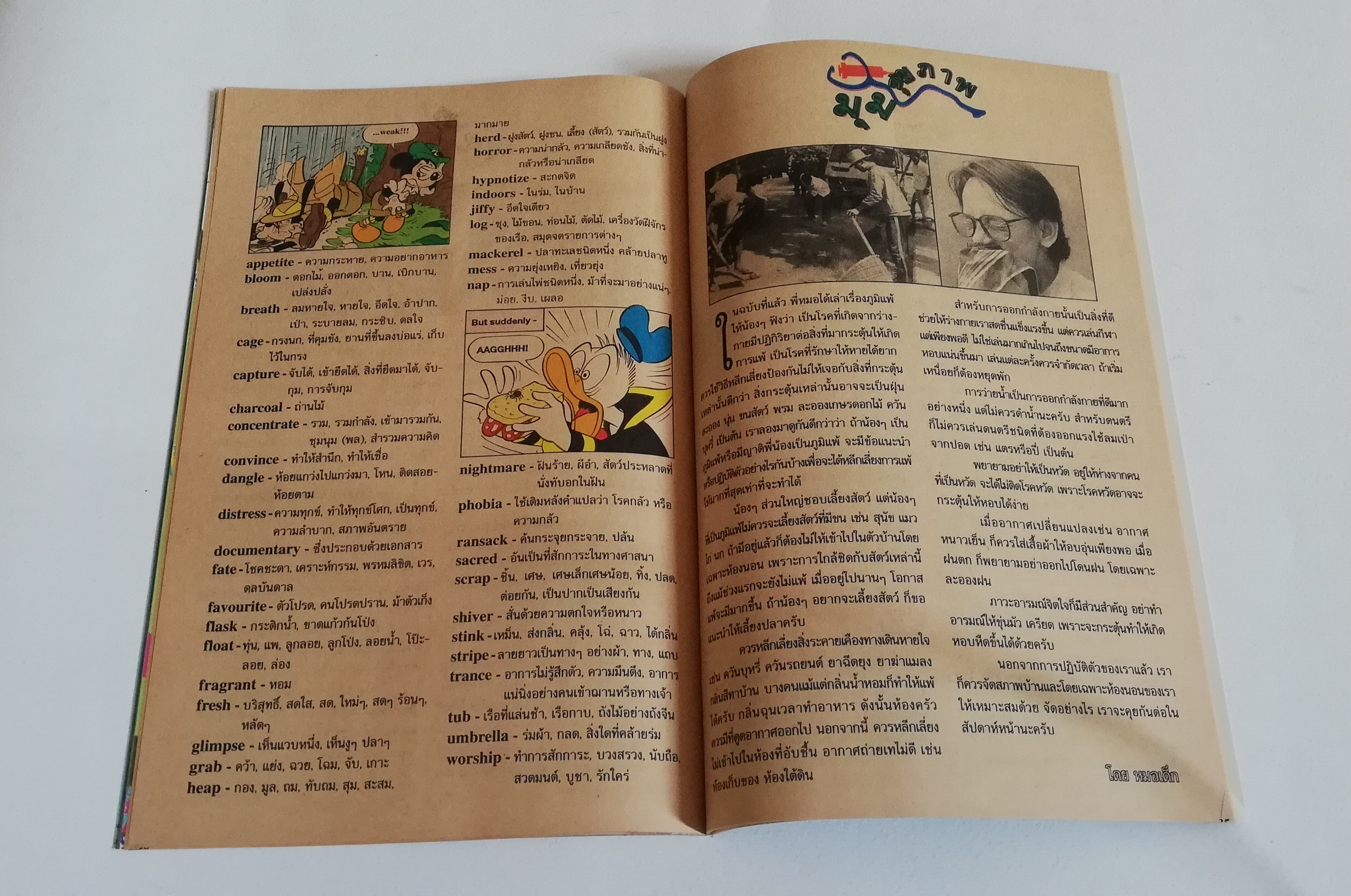 มีหลายภาพ, หนังสือการ์ตูนเก่าจากเว้าดิสนีย์ Nation Comic Goofy Adventures ฉบับที่ 99