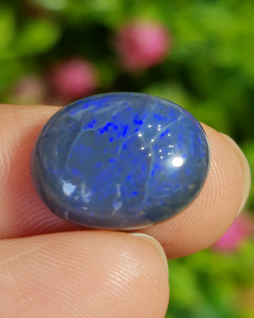 พลอย โบลเดอร์ โอปอล ออสเตรเลีย Australian Boulder Opal 7.30 กะรัต (Cts.) พลอยแท้ อัญมณีมงคลประจําวันเกิด เครื่องประดับพลอย