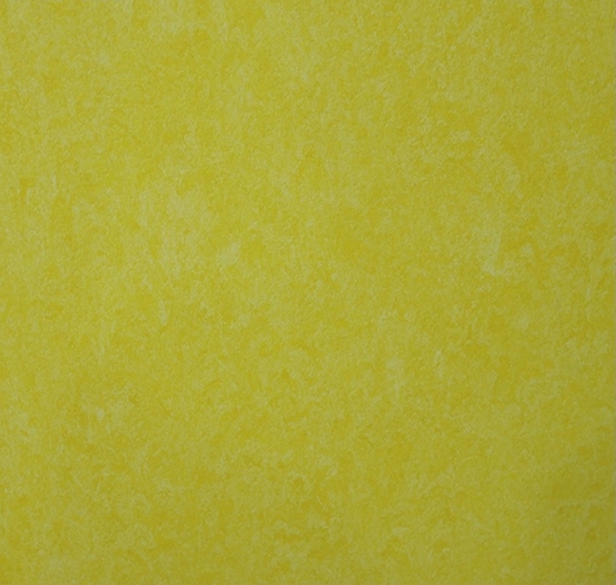 TWS 519