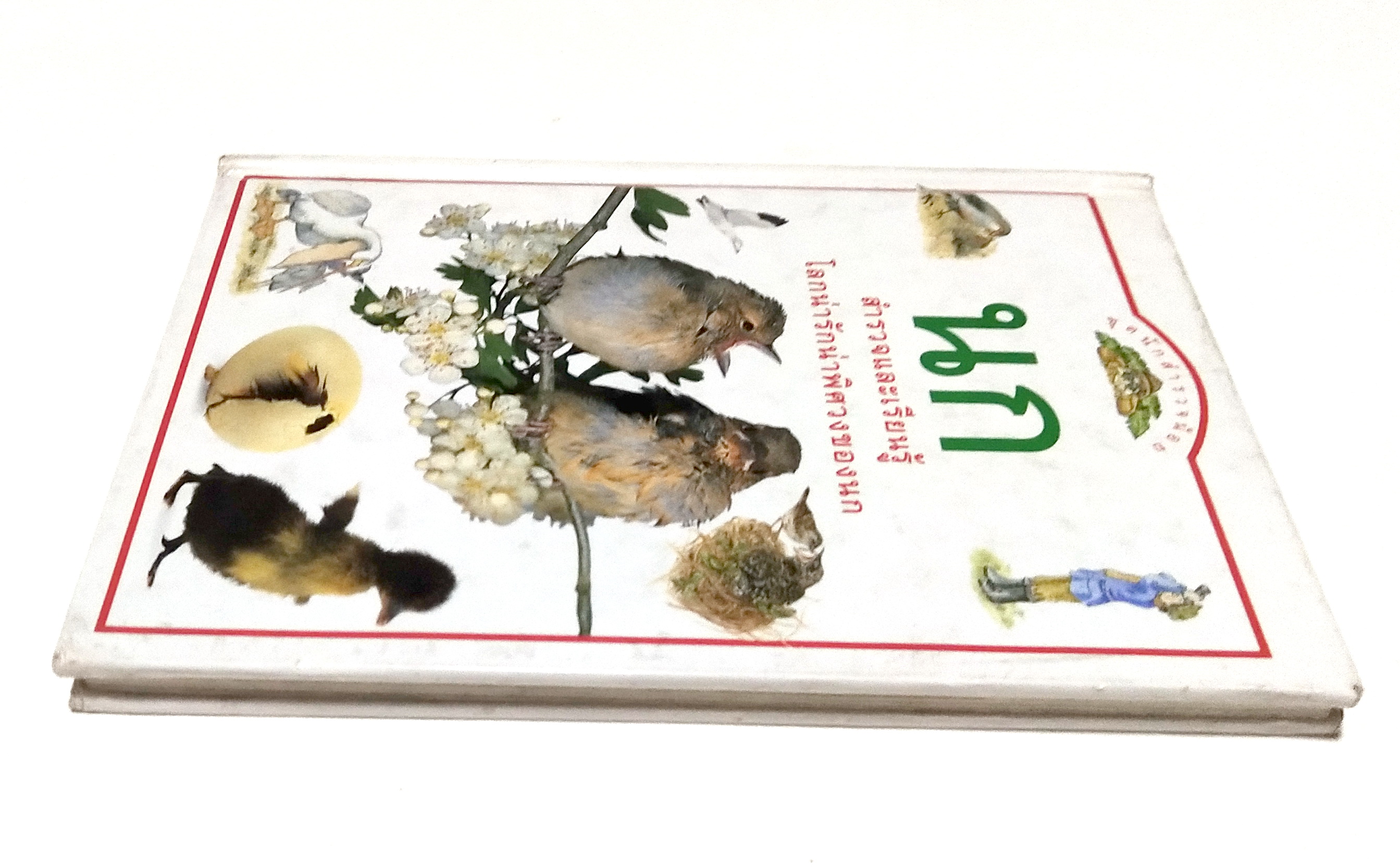 หนังสือภาพสีสวย กระดาษมัน ปกแข็ง "นก A DORING KINDERSLEY BOOK " สำรวจและเรียนรู้โลกน่ารักน่าพิศวงของนก แปลโดย นพ.รังสฤษฏิ์ กาญจนวณิชย์ พิมพ์ครั้งแรก เมษษยน 2536