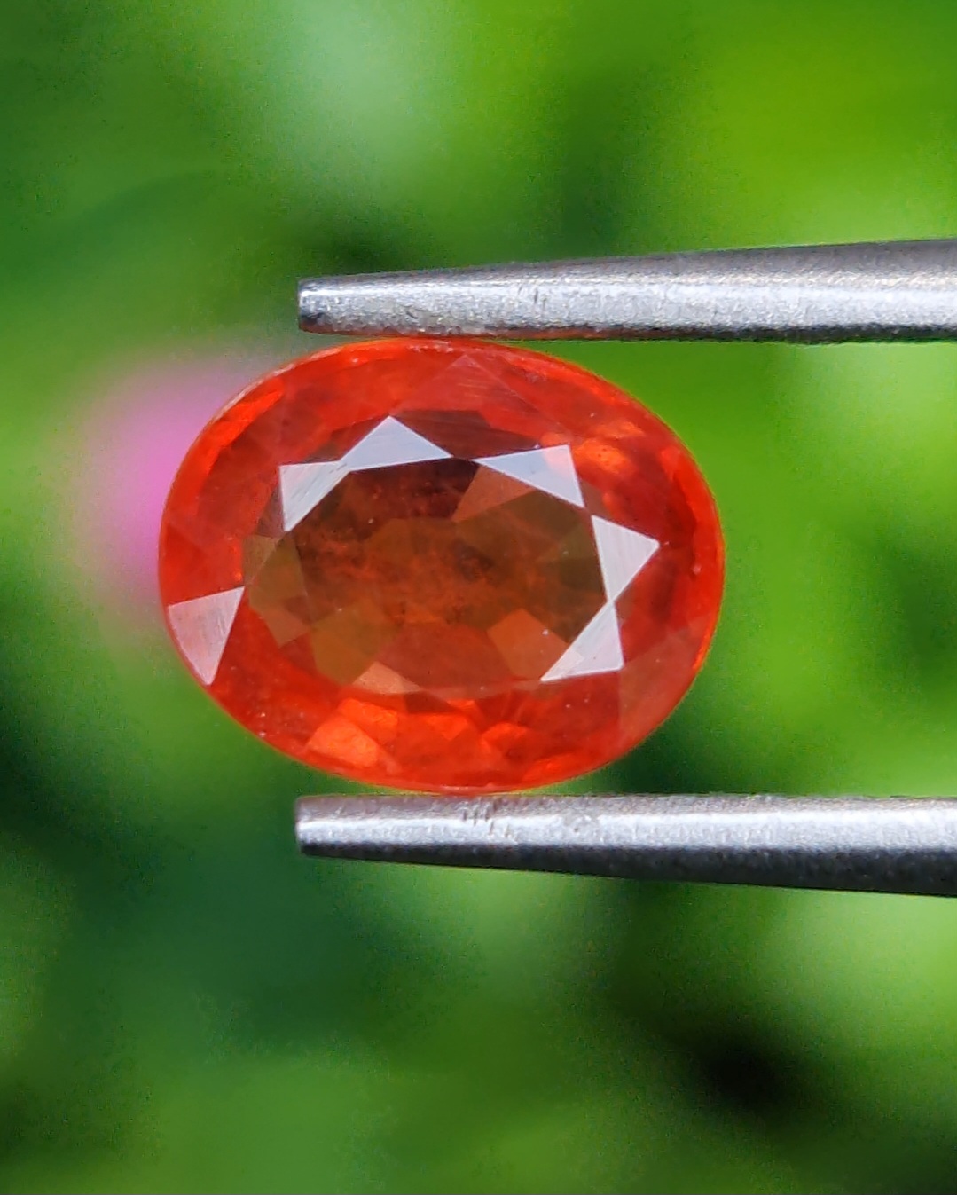 พลอย บุษราคัม Yellow Sapphire 1.46 กะรัต (Cts.) พลอยแท้ อัญมณีมงคลประจําวันเกิด เครื่องประดับพลอย