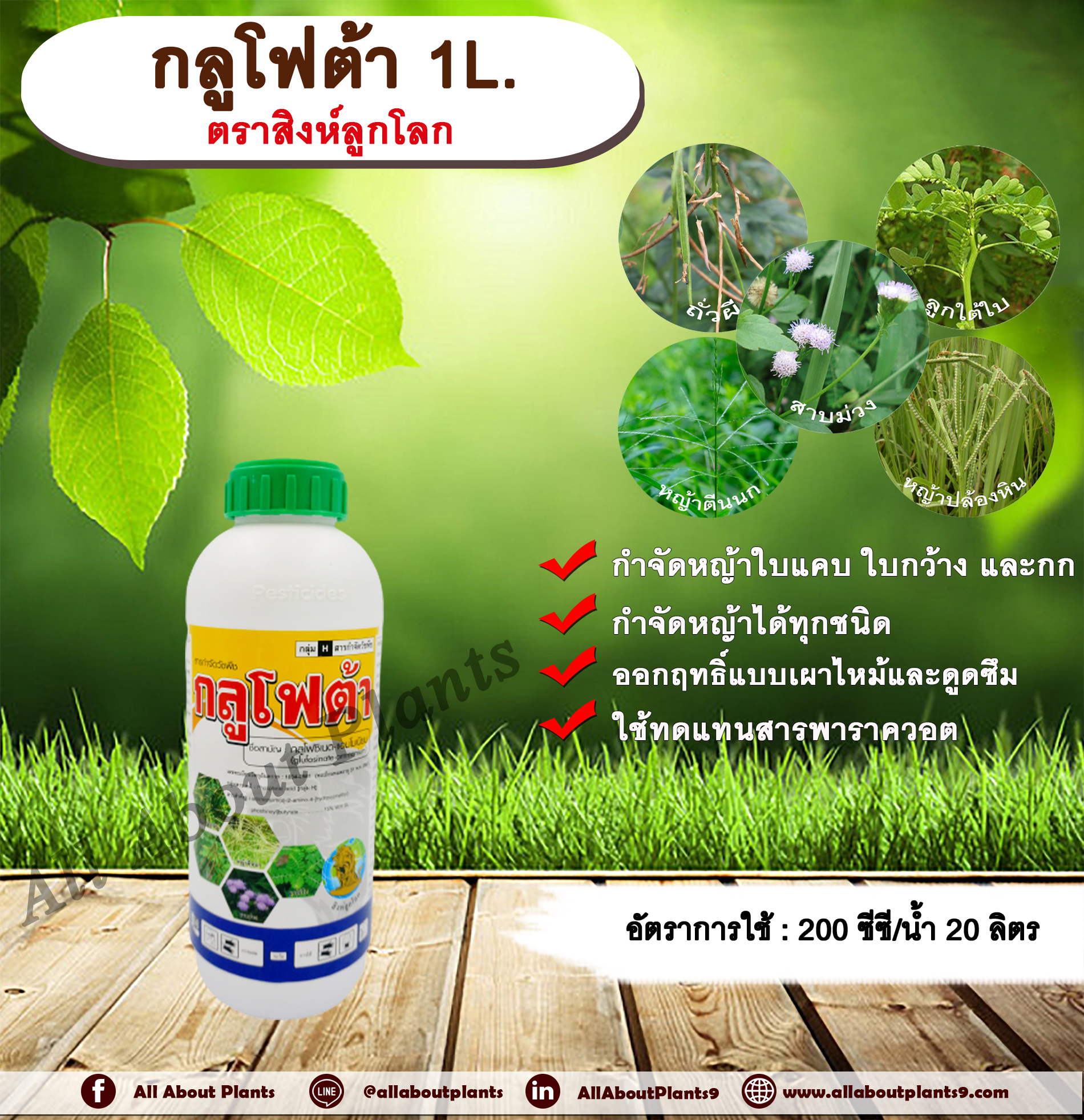 กลูโฟต้า 1L. ตราสิงห์ลูกโลก กลูโฟซเนตแอมโมเนียม สารกำจัดวัชพืช กำจัดหญ้าใบแคบ ใบกว้าง กก หญ้าทุกชนิด allaboutplants ชิ้น
