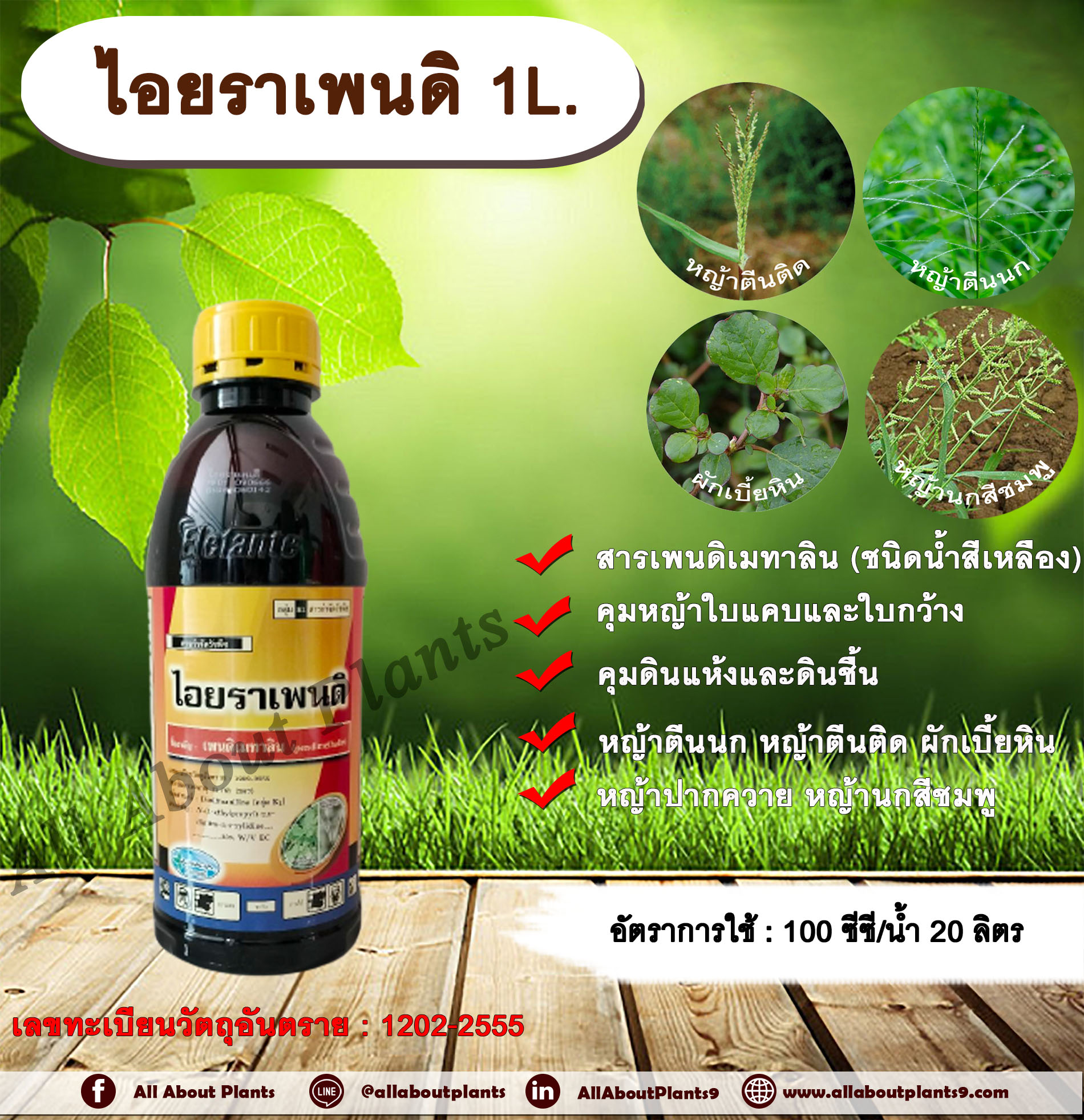 ไอยราเพนดิ 1L. เพนดิเมทาลิน คุมหญ้า คุมวัชพืช คุมแห้ง ยาเหลือง สารกำจัดวัชพืช ใบแคบ ใบกว้าง หญ้าตีนติด หญ้าตีนกา หญ้านกสีชมพู หญ้าปากควาย ผักเบี้ยหิน ผักโขม ผักเสี้ยนผี ขวด