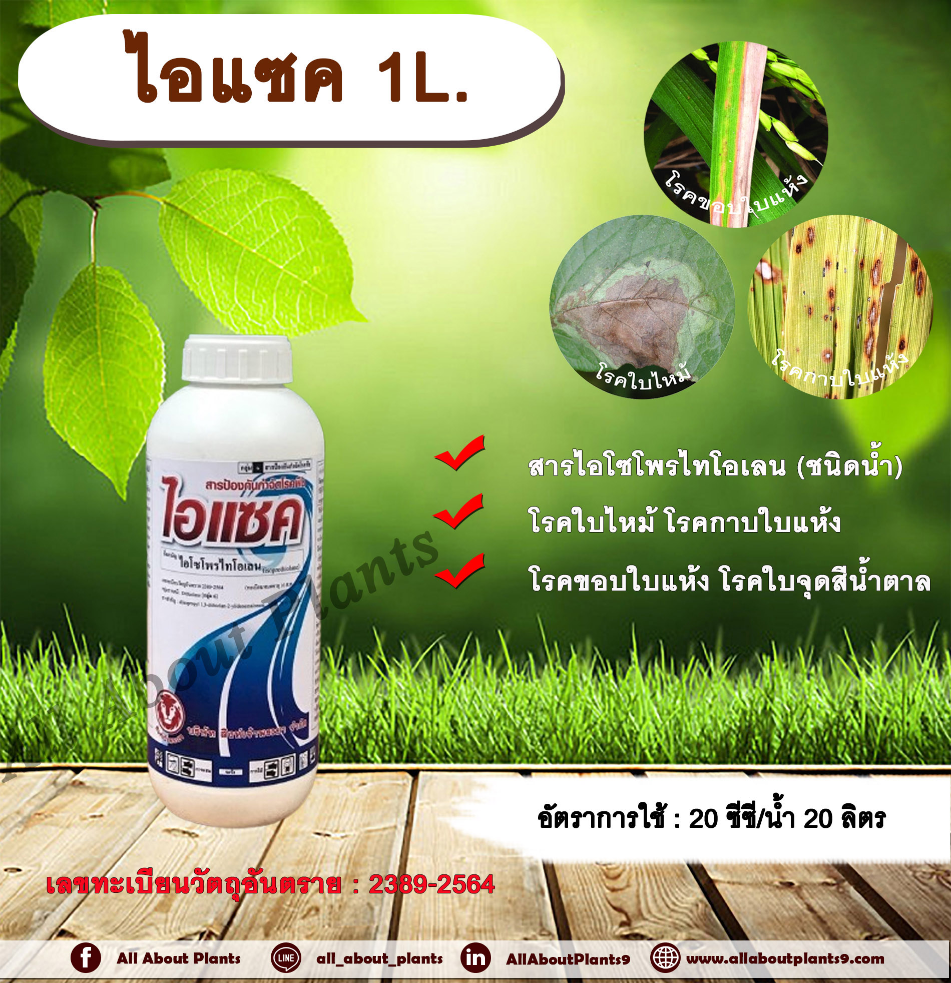 ไอแซค 1L. ไอโซโพรไทโอเลน สารกำจัดโรคพืช สารกำจัดเชื้อรา โรคใบไหม้ โรคขอบใบแห้ง โรคกาบใบแห้ง โรคในข้าว โรคพืช เชื้อรา ขวด