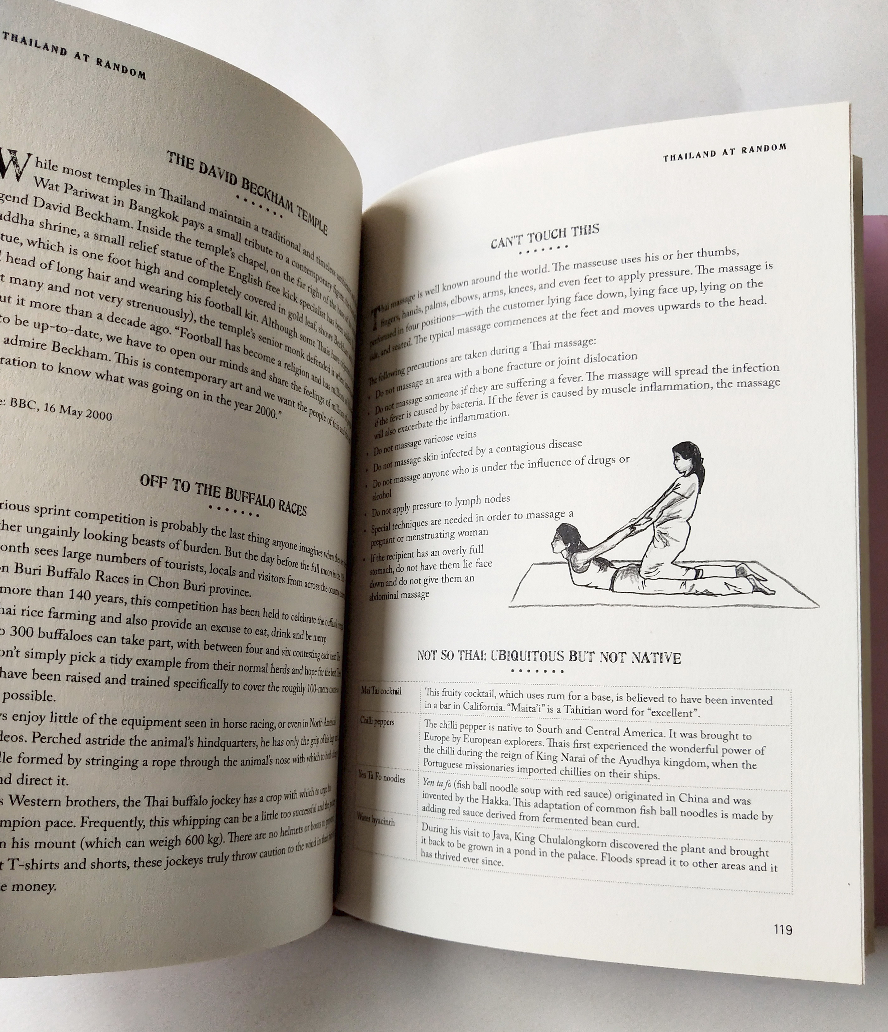 หนังสือภาษาอังกฤษ บันทึกเกี่ยวกับสิ่งต่างๆในประเทศไทย **ปกนอกมีรอยขาดเล็กน้อยตามภาพ,Thailand Random ,Editions Didier Millet, 2012 Printed by Tien Hab Pren, Singapore