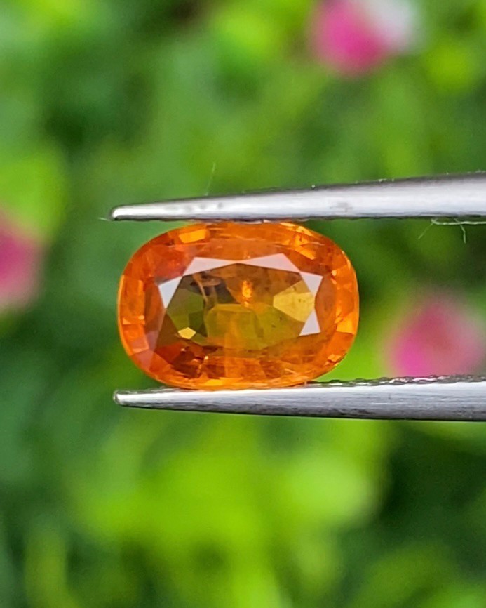พลอย บุษราคัม Yellow Sapphire 1.35 กะรัต (Cts.) พลอยแท้ อัญมณีมงคลประจําวันเกิด เครื่องประดับพลอย