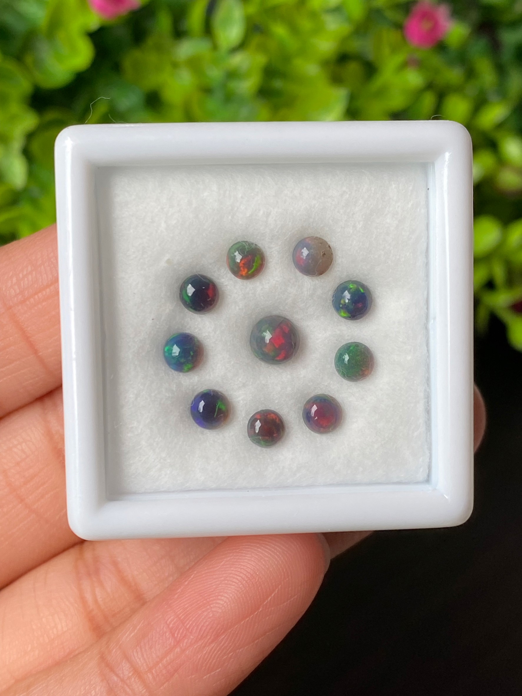 พลอย แบล็ก โอปอล Black Opal 1.98 กะรัต (Cts.) 10 เม็ด (Pcs.) พลอยแท้ อัญมณีมงคลประจําวันเกิด เครื่องประดับพลอย