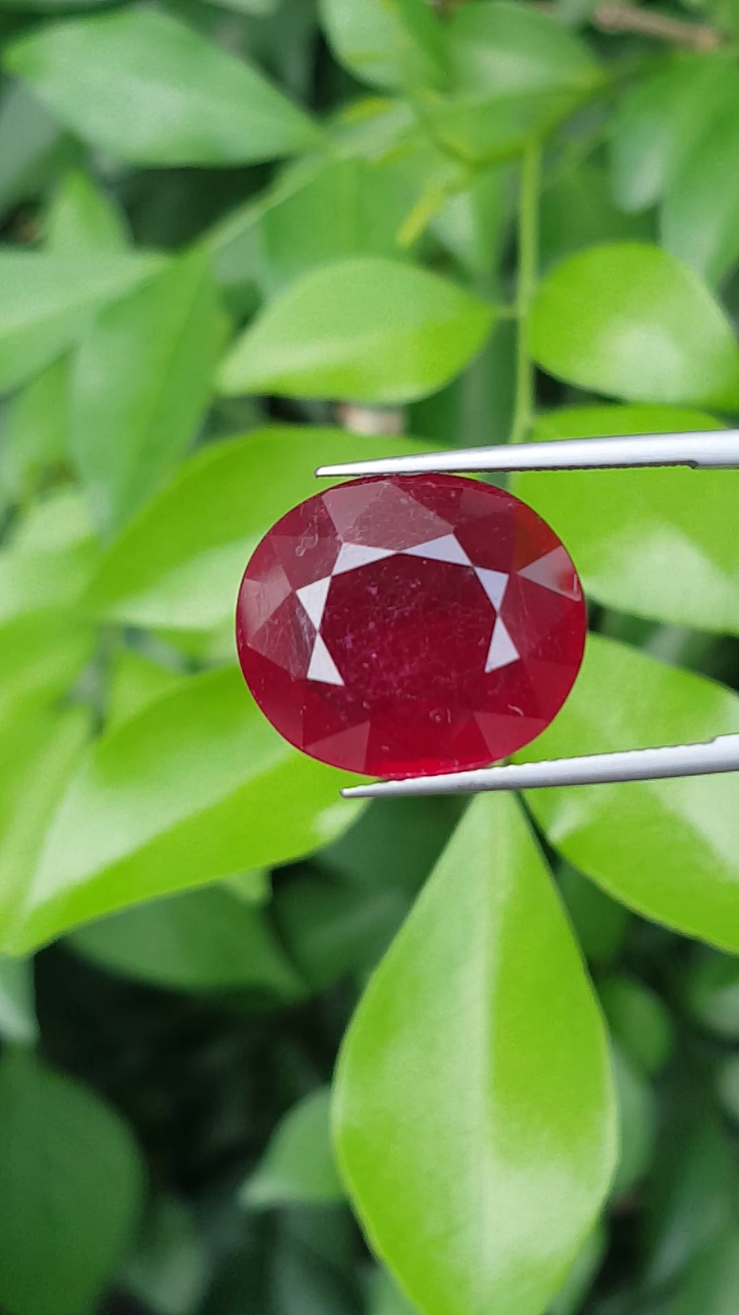 พลอย ทับทิม Ruby sapphire 20.25 กะรัต (Cts.) พลอยแท้ อัญมณีมงคลประจําวันเกิด เครื่องประดับพลอย
