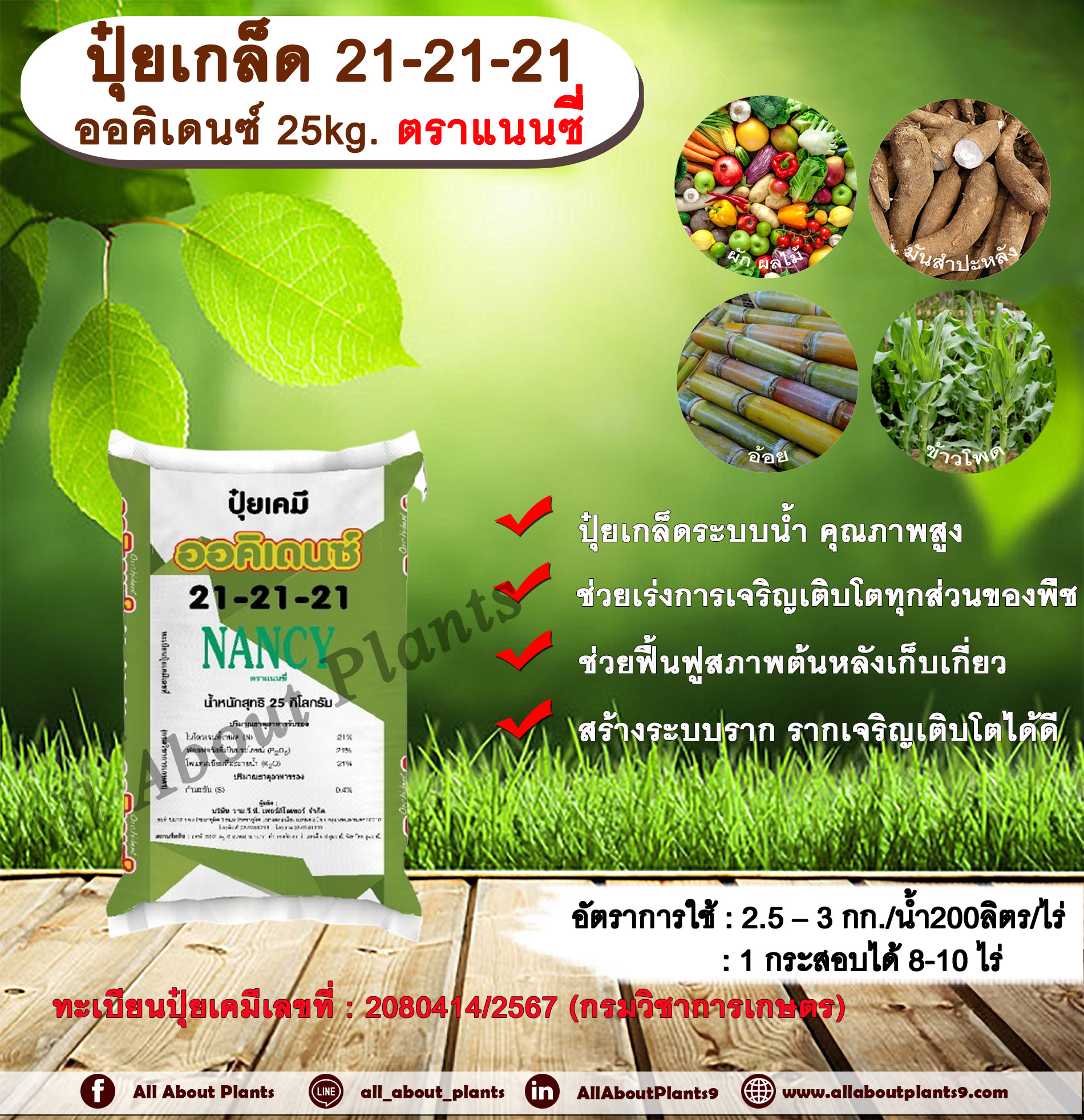 ปุ๋ยเกล็ด 21-21-21 ออคิเดนซ์ 25kg. ตราแนนซี่ ปุ๋ยระบบน้ำ ปุ๋ยเกล็ดระบบน้ำคุณภาพสูง สูตรบำรุงต้นทั่วไป ช่วงเร่งการเจริญเติบโตทุกส่วนของพืช ช่วยฟื้นฟูสภาพต้นหลังเก็บเกี่ยว สร้างระบบราก รากเจริญเติบโตได้ดี กระสอบ