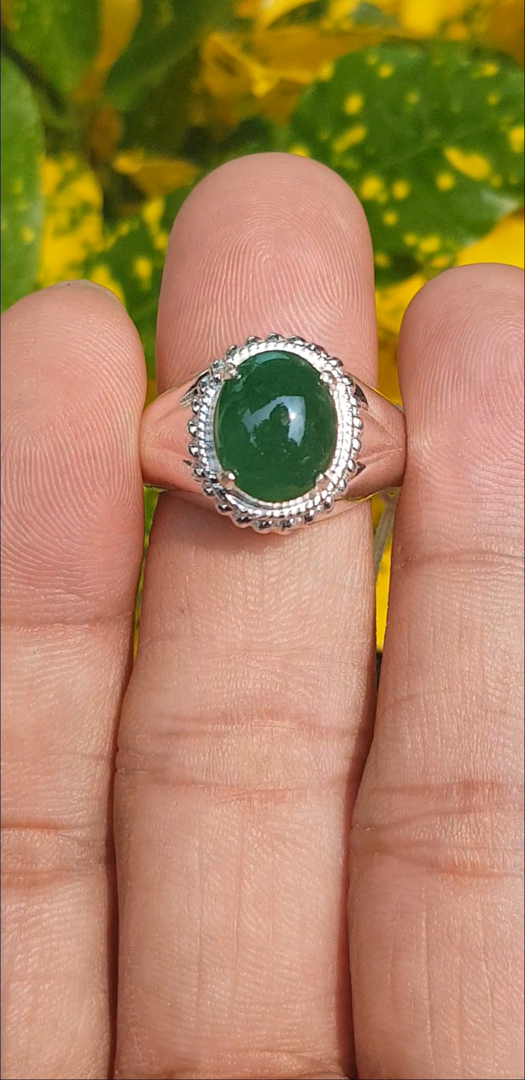 หยก พม่า แท้ Jade แหวนหยก 翡翠戒指 (Jadeite ring) 3.03 กะรัต (Cts.) (Size) 60ดิบ ไม่ผ่านการปรับปรุง (Type A) พม่า (Myanmar)
