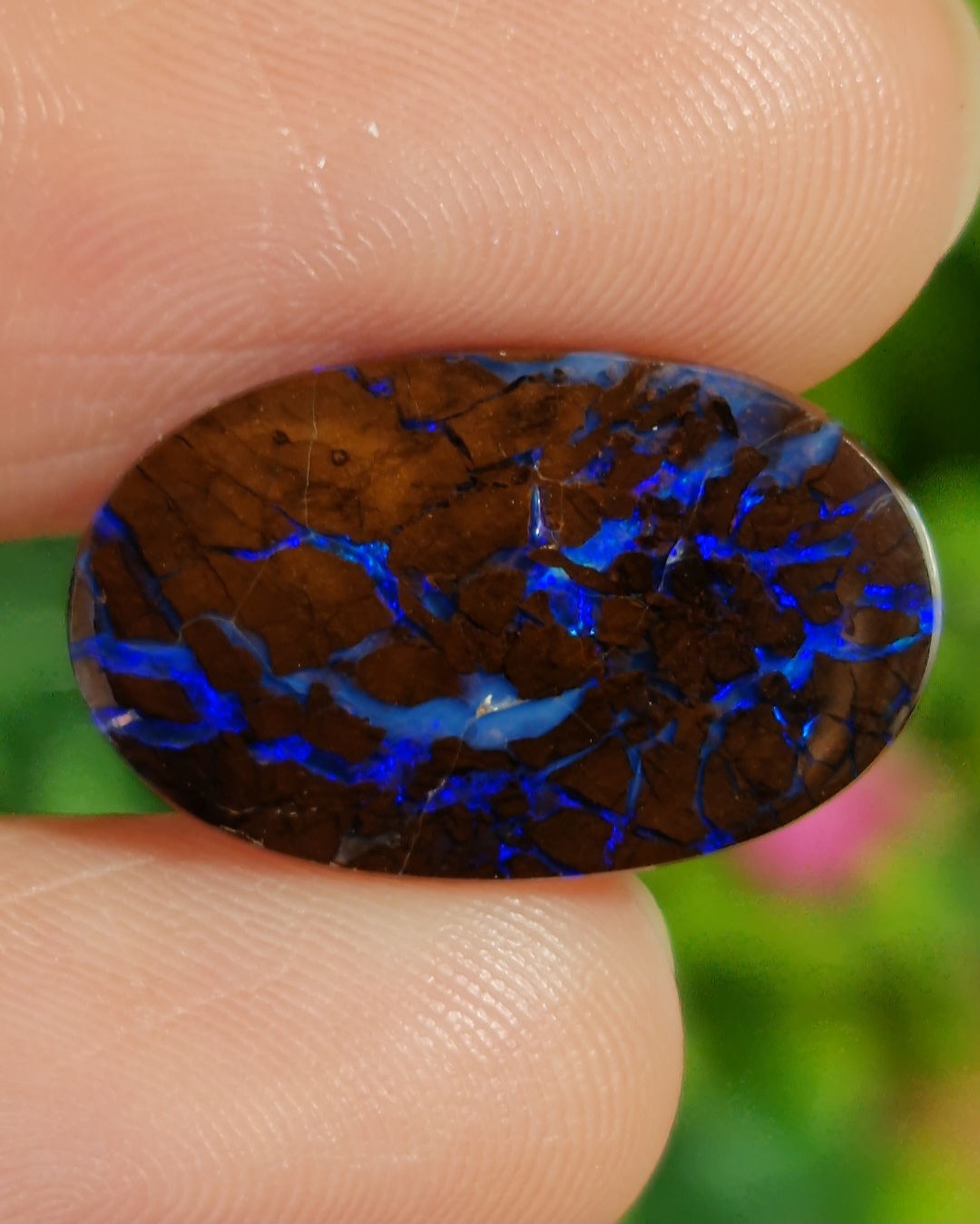 พลอย โบลเดอร์ โอปอล ออสเตรเลีย Australian Boulder Opal 9.85 กะรัต (Cts.) พลอยแท้ อัญมณีมงคลประจําวันเกิด เครื่องประดับพลอย