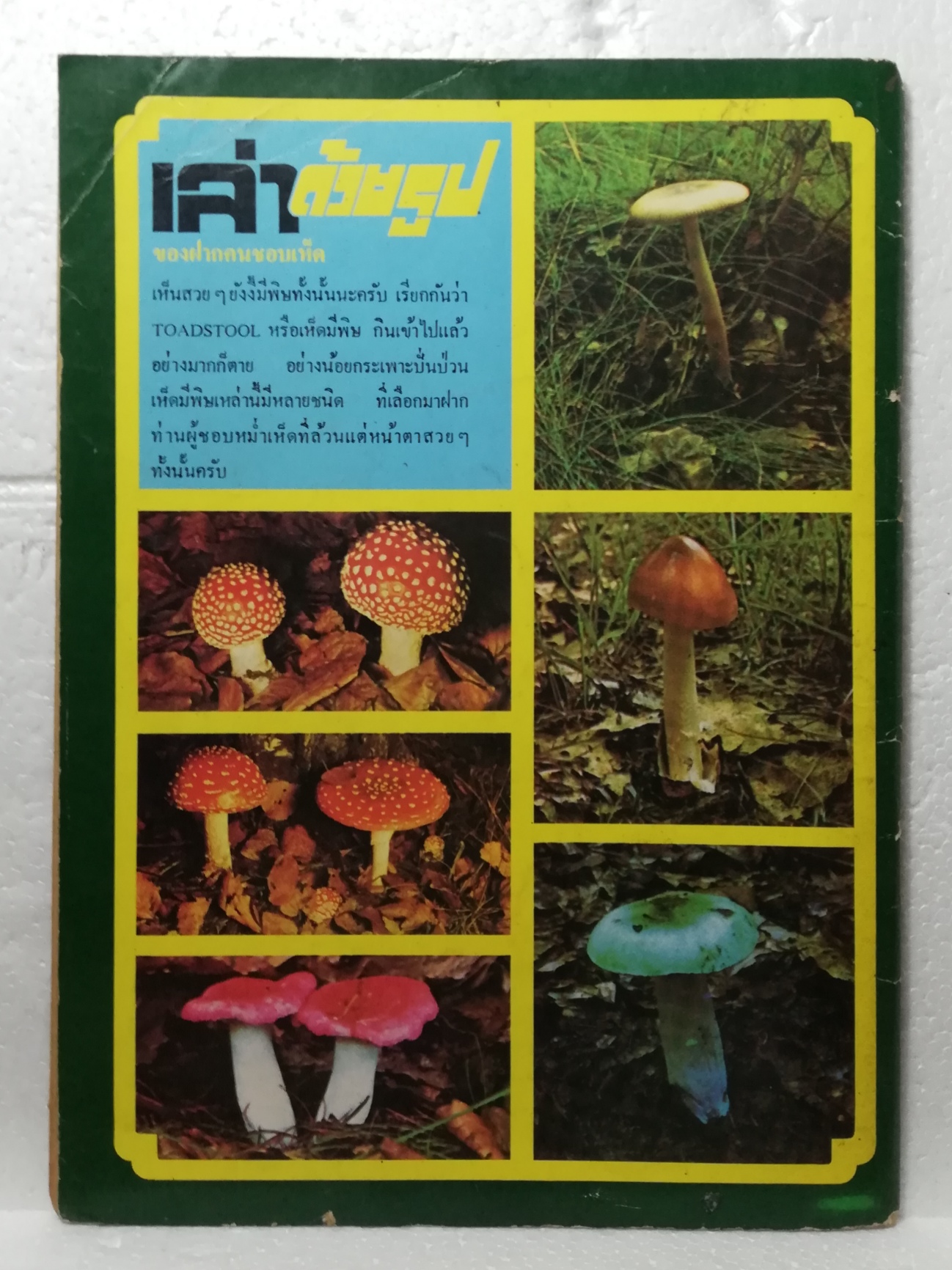 หนังสือเก่า ***มีตำหนิ สันปกแยกด้าบนตามภาพ, ต่วยตูนพิเศษ พิเศษ ฉบับขึ้นรอบปีที่5 ประจำเดือน มีนาคม2522 เรื่องเข้มข้น