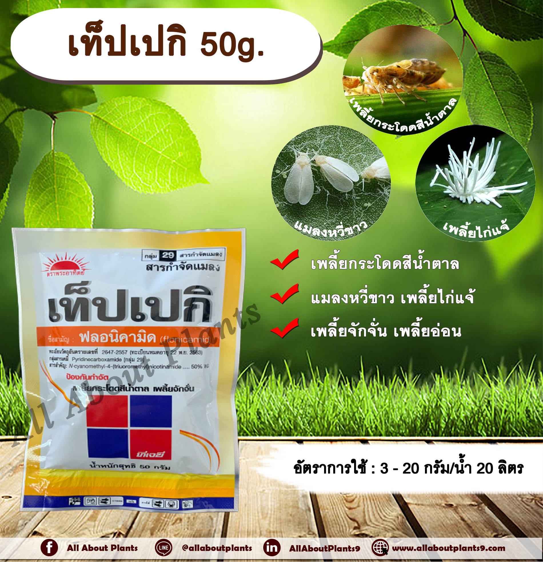เท็ปเปกิ 50g. ฟลอนิคามิด สารกำจัดแมลง เพลี้ยกระโดด เพลี้ยจักจั่น เพลี้ยอ่อน เพลี้ยไก่แจ้ แมลงหวี่ขาว allaboutplants ชิ้น