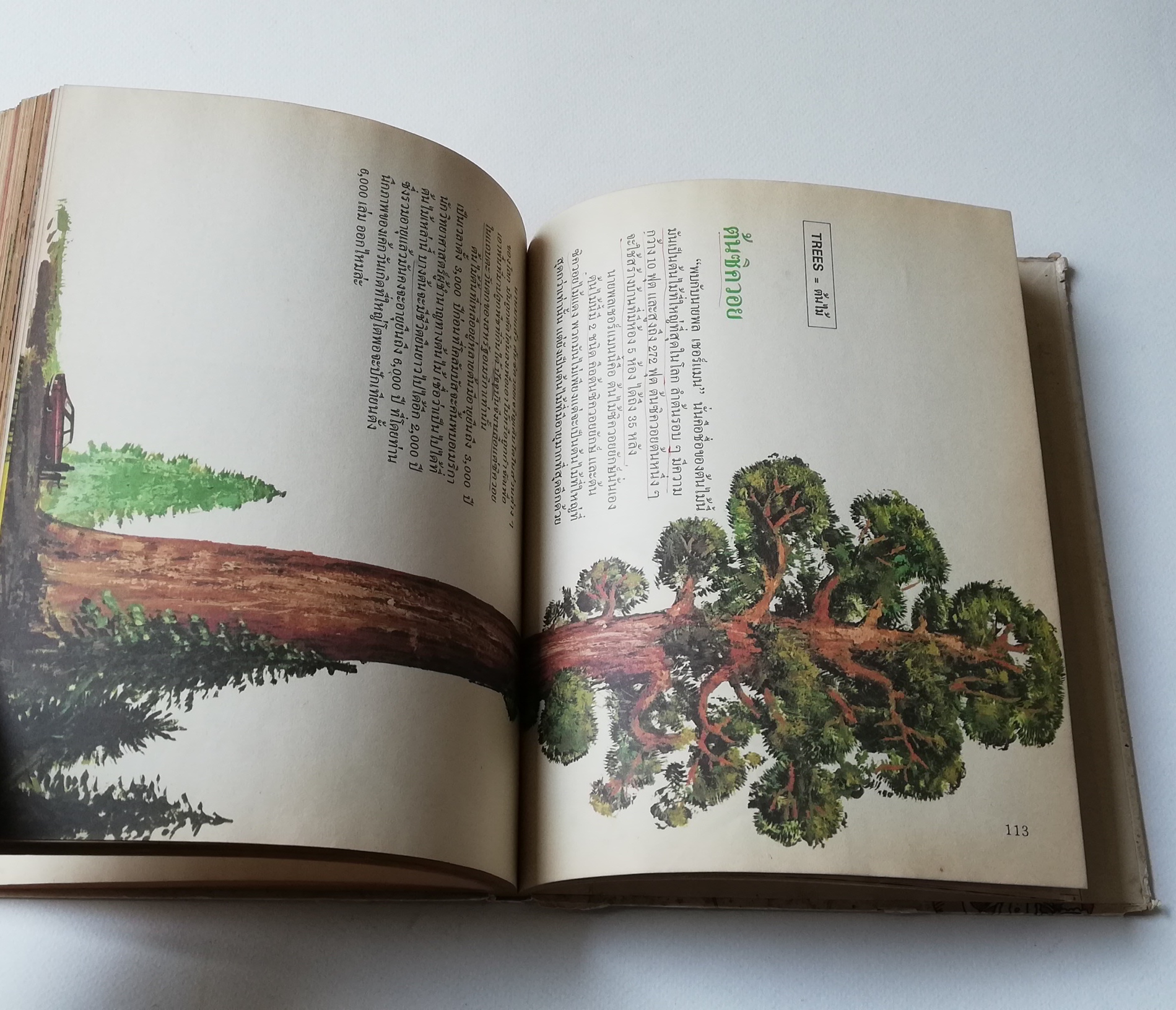 มีหลายภาพ ** หน้าสารบัญขาดหายไป 1 หน้า หน้าที่ 100 มีรอยขีดเส้นใต้ด้วยปากกา,หนังสือภาพการ์ตูนเก่า ปกแข็ง เล่มหนา จาก บริทานิกา เรื่อง สารานุกรมสำหรับเด็ก เล่มที่ 15