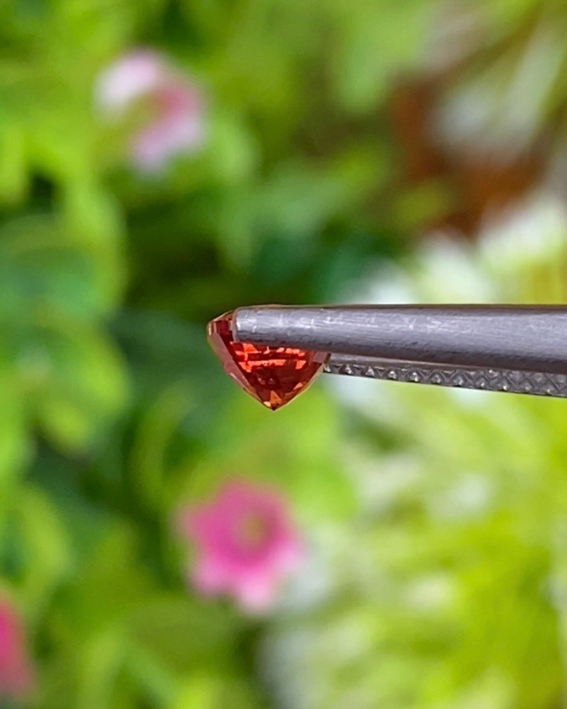 พลอย ออเรนจ์ แซฟไฟร์ Orange Sapphire 0.94 กะรัต (Cts.) พลอยแท้ อัญมณีมงคลประจําวันเกิด เครื่องประดับพลอย