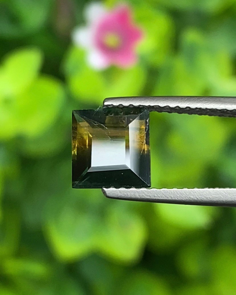 พลอย แซฟไฟร์ 2 สี Bi Color Sapphire 1.70 กะรัต (Cts.) พลอยแท้ อัญมณีมงคลประจําวันเกิด เครื่องประดับพลอย