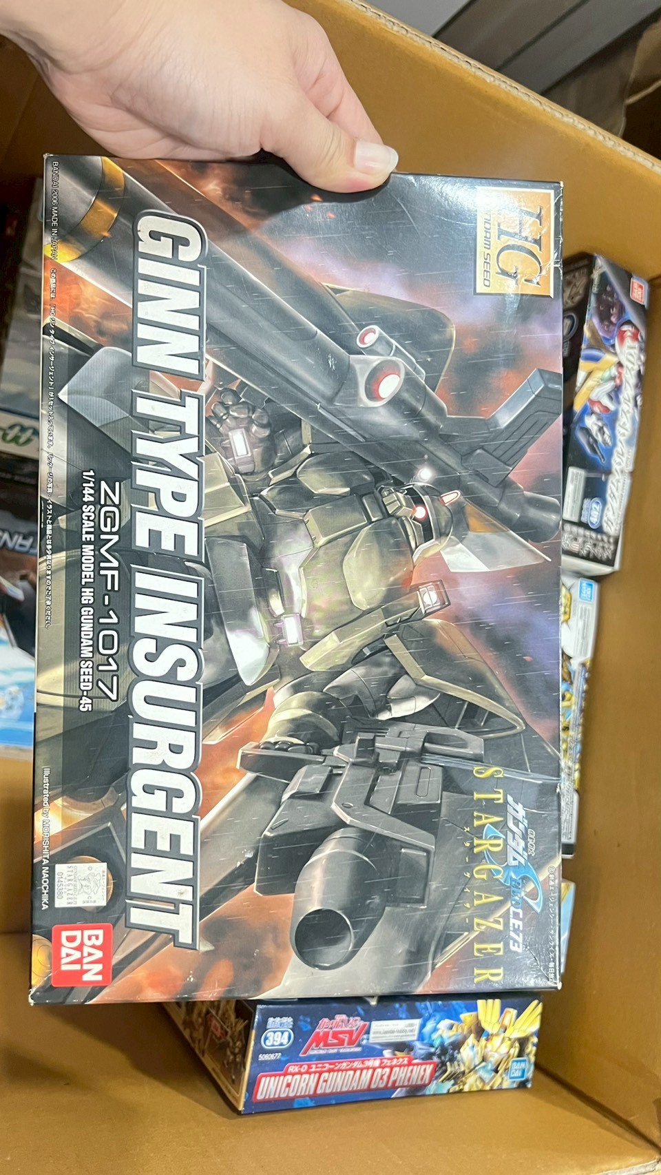 BANDAI HG GINN TYPE INSURGENT