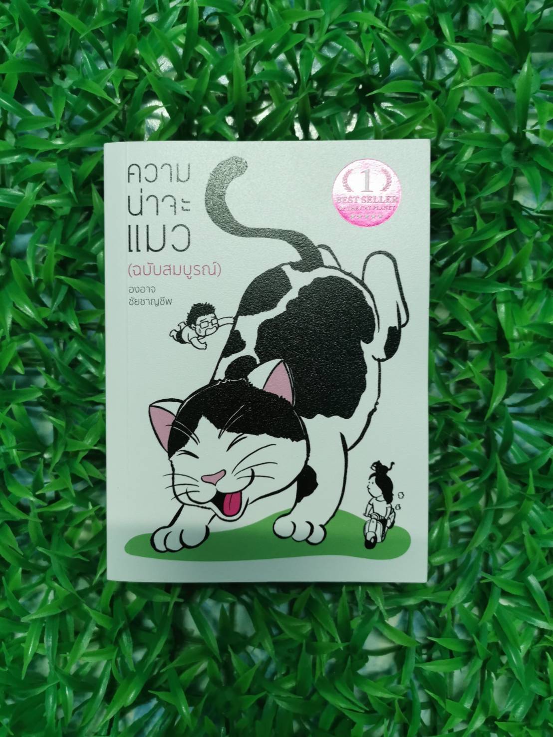 หนังสือ สภาพดี ใหม่มาก ความน่าจะแมว (ฉบับสมบูรณ์) ผู้เขียน องอาจ ชัยชาญชีพ