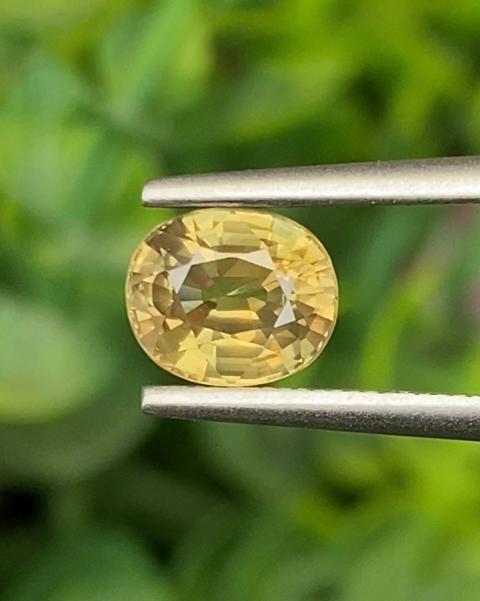 พลอย บุษราคัม Yellow Sapphire 1.64 กะรัต (Cts.) ดิบ ไม่ผ่านการเผา (Unheated) พร้อมใบเซอร์ พลอยแท้ อัญมณีมงคลประจําวันเกิด เครื่องประดับพลอย