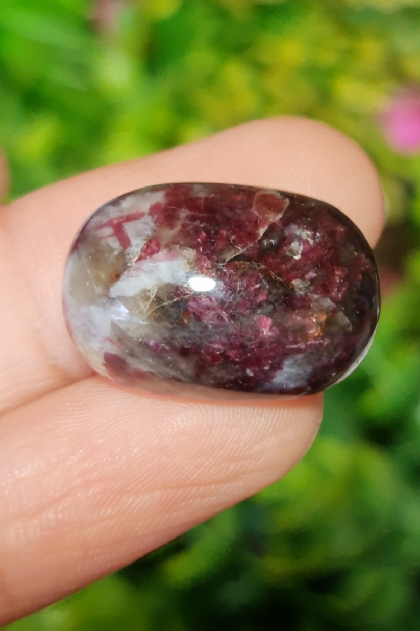 พลอย ทัวร์มารีน (Tourmaline) 31.97 กะรัต (Cts.) อัญมณีมงคลประจําวันเกิด เครื่องประดับพลอย